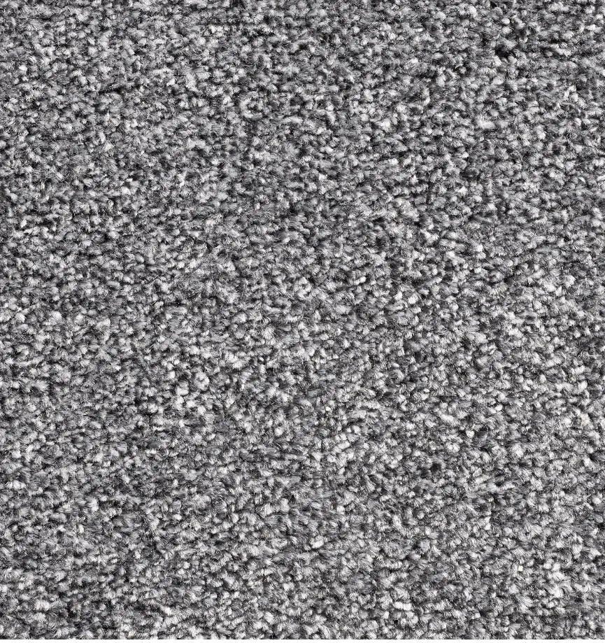 Teppichboden Robbie anthrazit 5 m breit (Meterware)