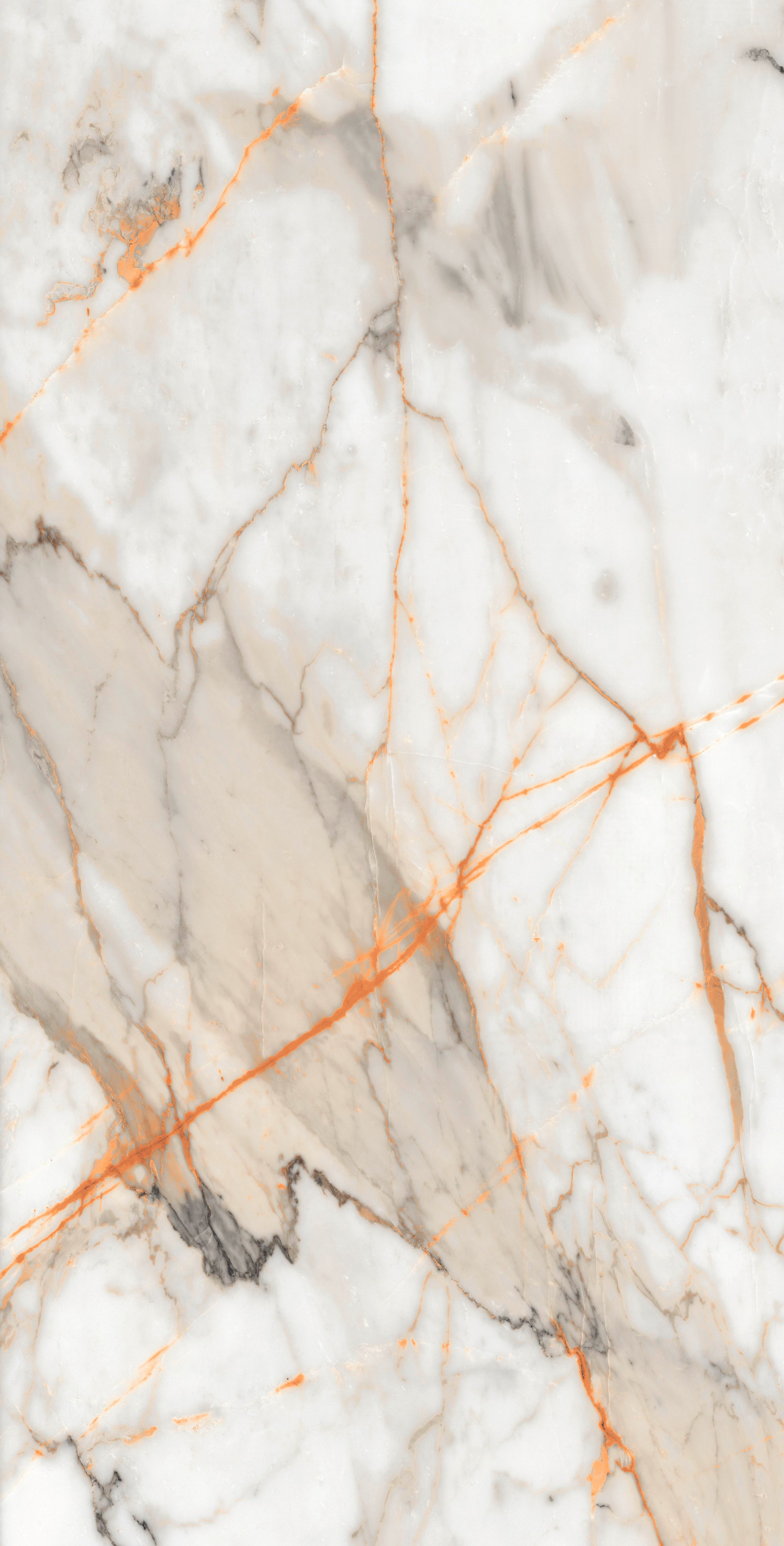 Bodenfliese Feinsteinzeug Visage Gold Plus 60 x 120 cm weiß