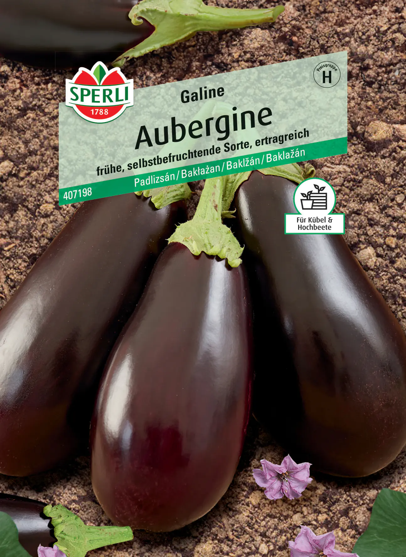 Sperli Aubergine Galine F1