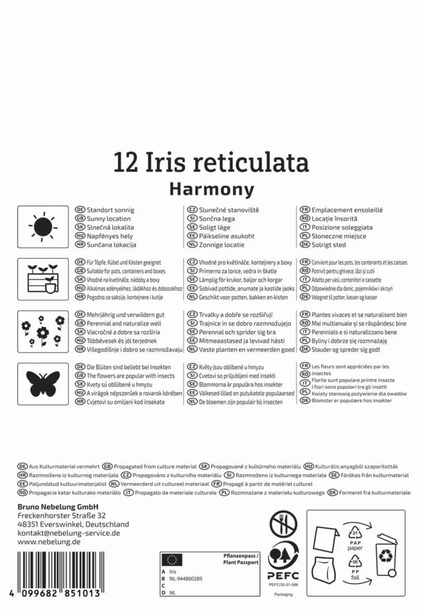 Kiepenkerl Herbstblumenzwiebel Netzblatt-Schwertlilie 12 Pflanzen
