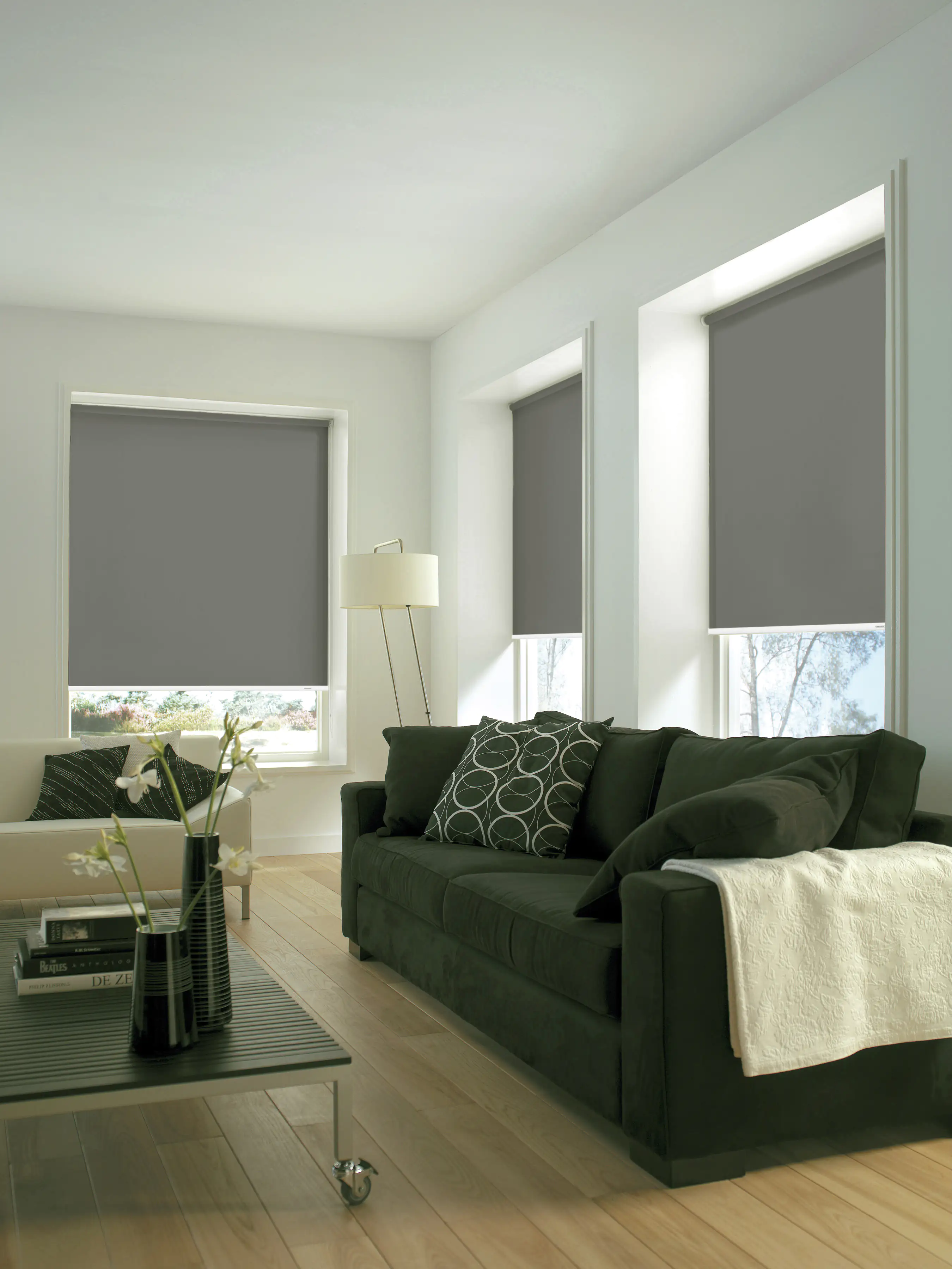 Gardinia Seitenzugrollo grau 102 x 180 cm