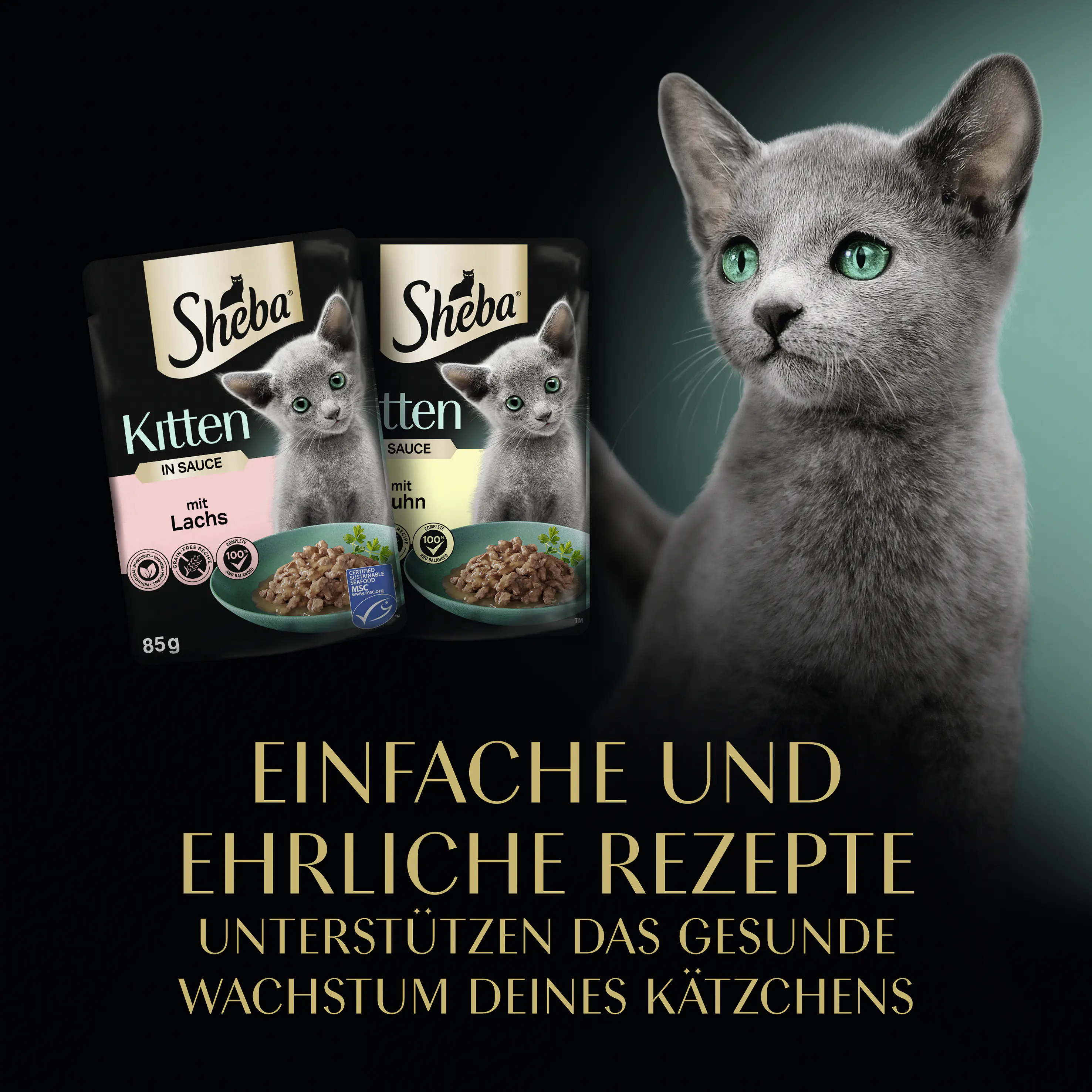 Sheba Katzennassfutter Junior 40 x 85 g Geflügel in Sauce