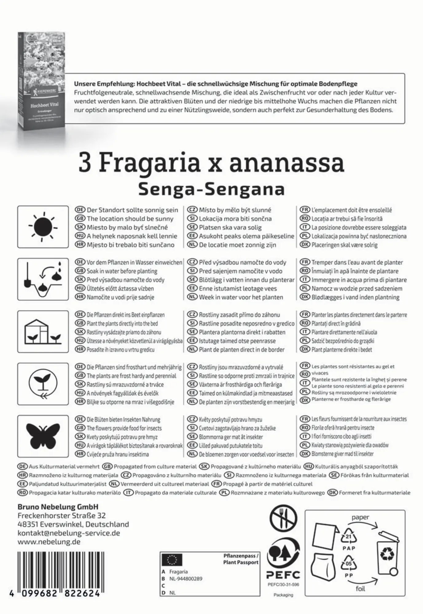 Kiepenkerl Pflanzgut Erdbeeren Senga-Sengana Fragaria x ananassa 3 Stück