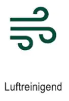 8717929508778_3 Spathiphyllum Vivaldi Friedenslilie 70 cm 17 cm Topf