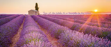 Deco-Canvas Bild - Sonnenstrahlen 30 x 70 cm