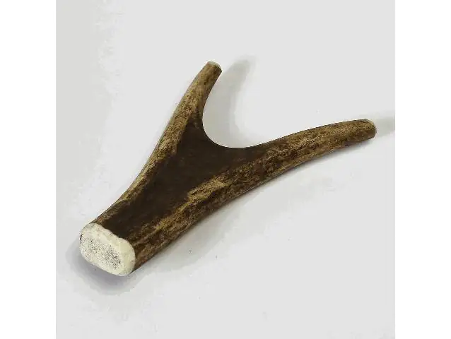 Larsson Geweih Full-Chew S