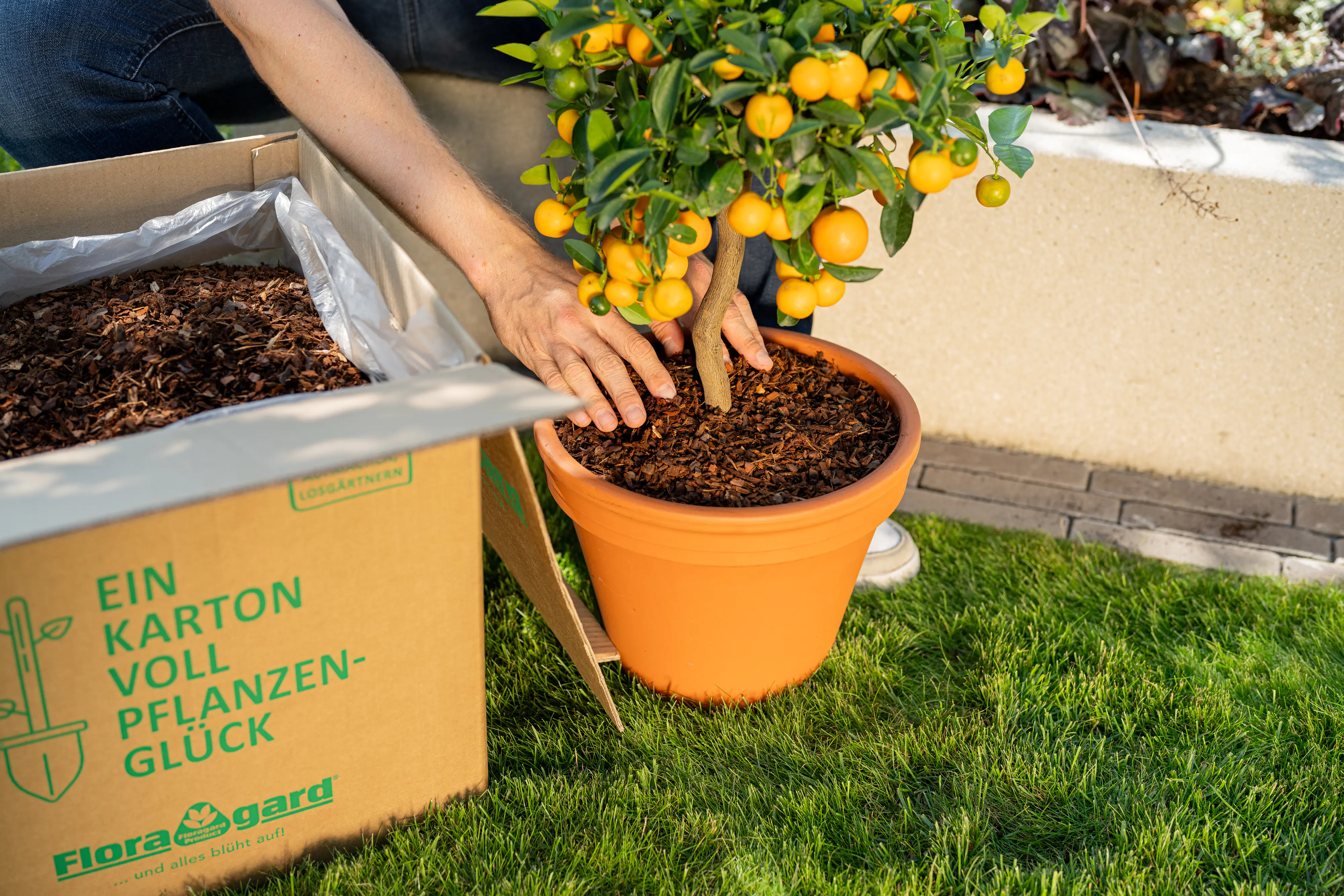 Floragard Pinienrinde fein 2-8 mm in der Box 60 L