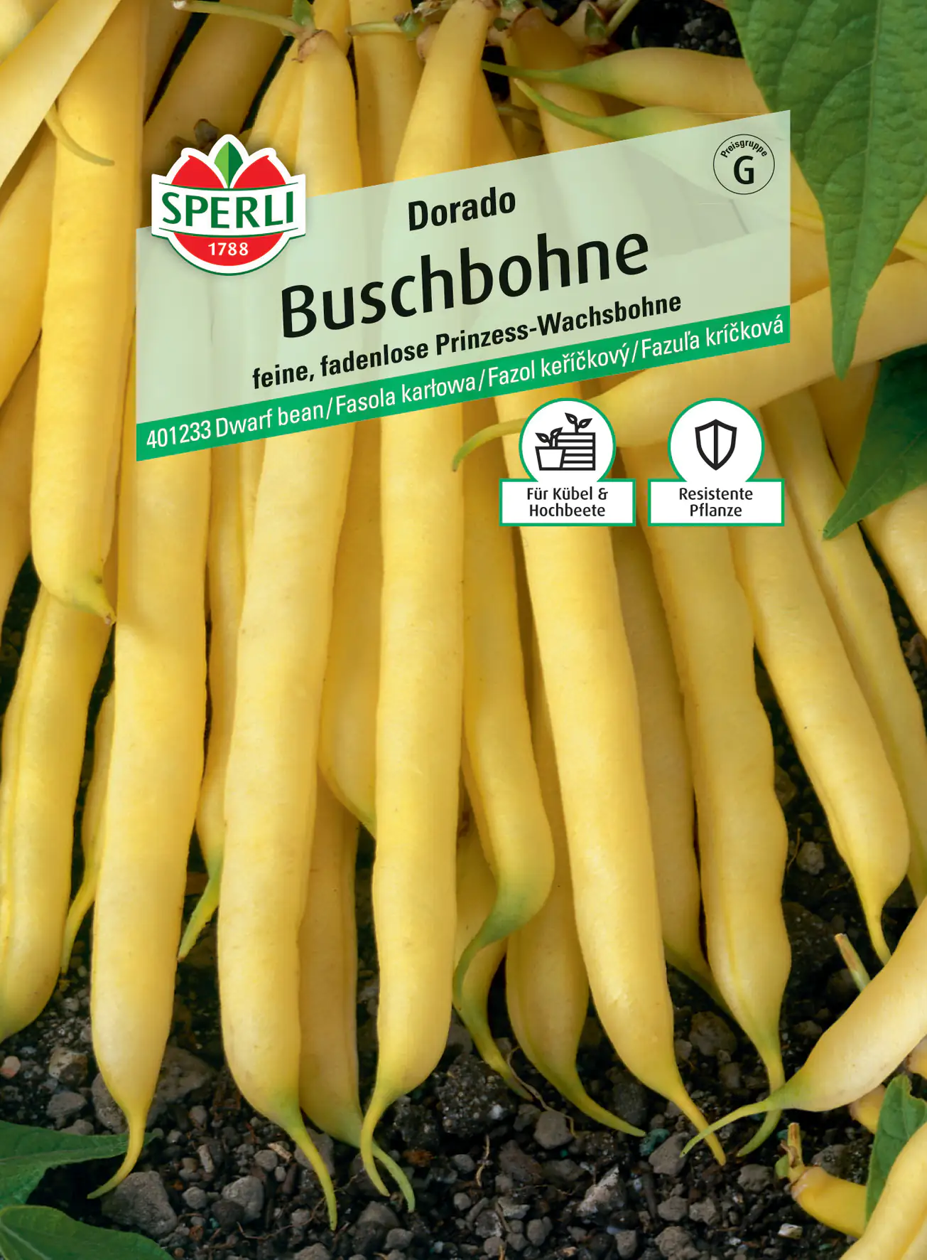 Sperli Buschbohne Dorado