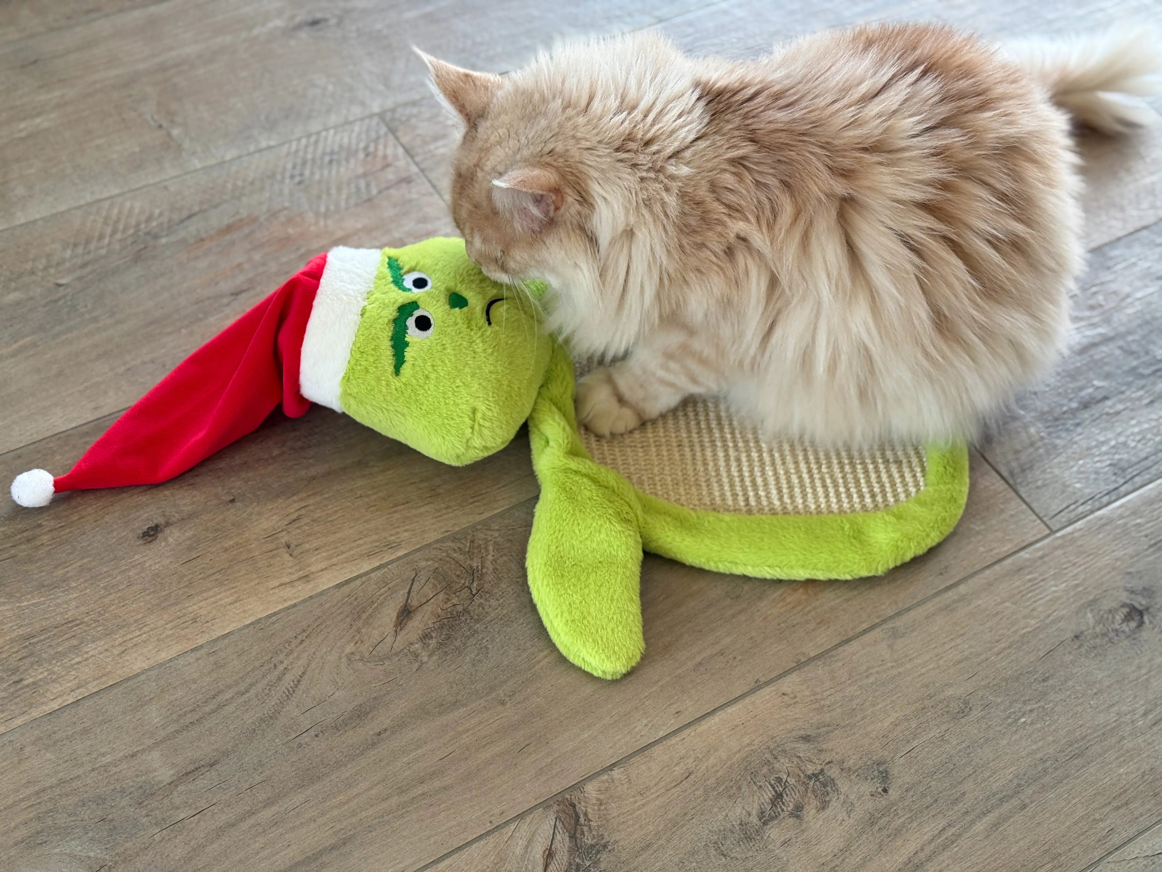 Aumüller Katzenspielzeug Weihnachtsmuffel Kratzmatte 58 cm grün Aumüller Katzenspielzeug Weihnachtsmuffel Kratzmatte 58 cm grün