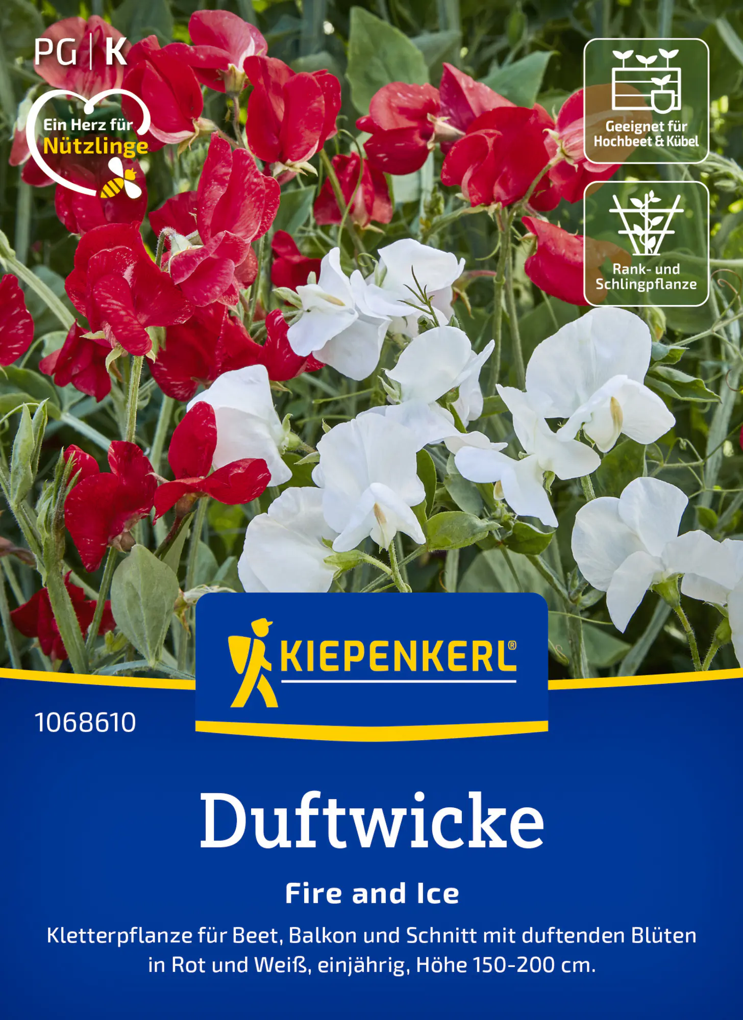 Kiepenkerl Blumensamen Duftwicke Fire and Ice für ca. 25 Pflanzen