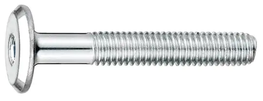 Connex Gewindeschraube M6 x 40 mm Sechskant Innen 4 mm - 1 Stk.