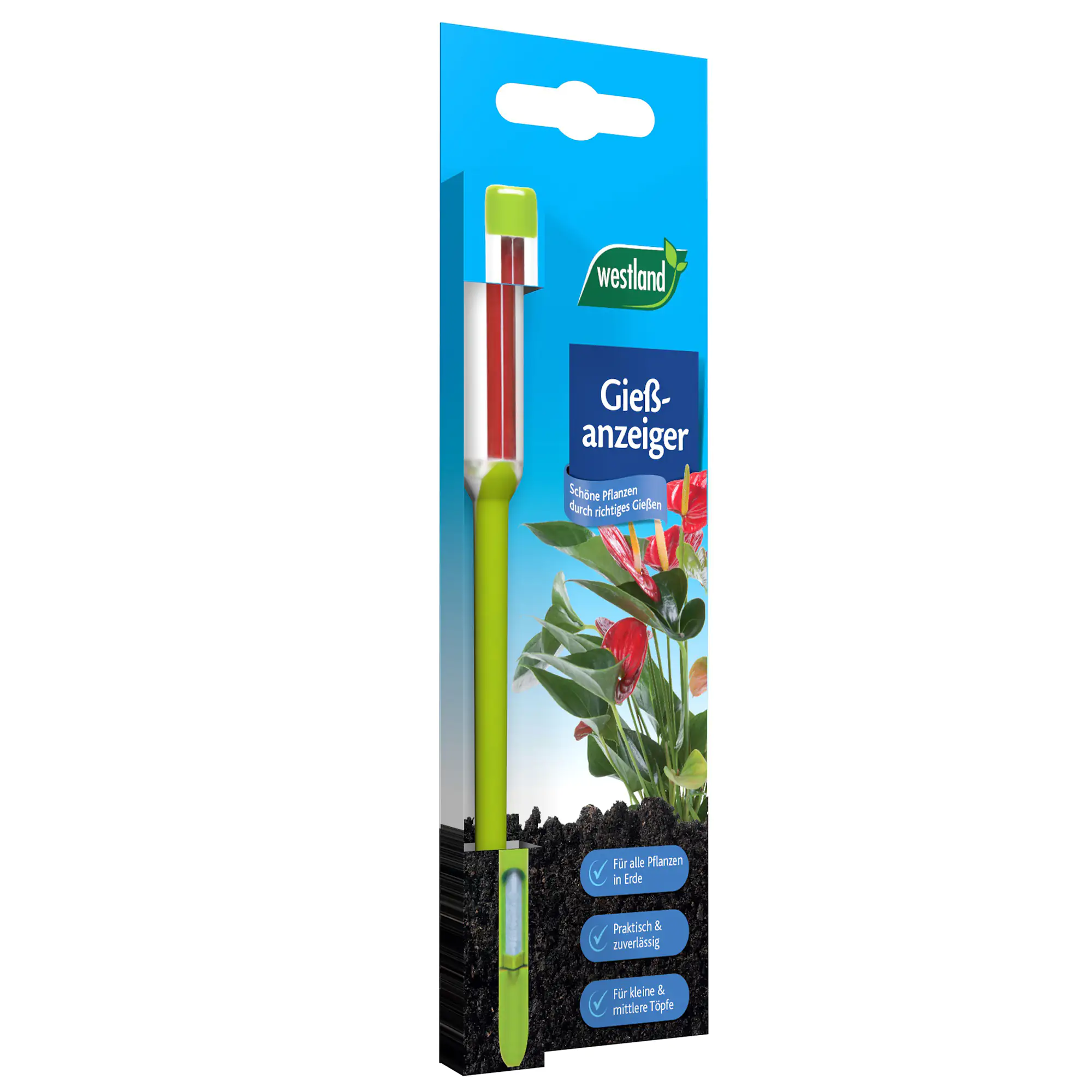 Westland Gießanzeiger klein apfelgrün 16 cm