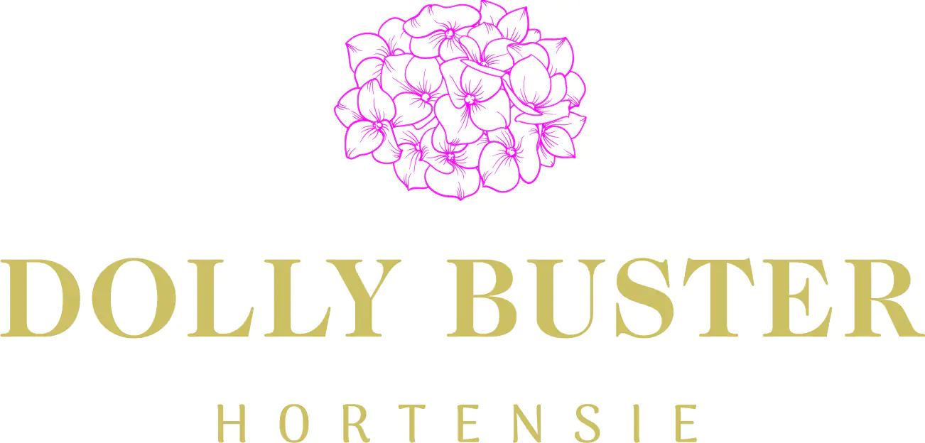 Bauernhortensie Hydrangea macrophylla Dolly Buster H 30-40 cm 23 cm Topf