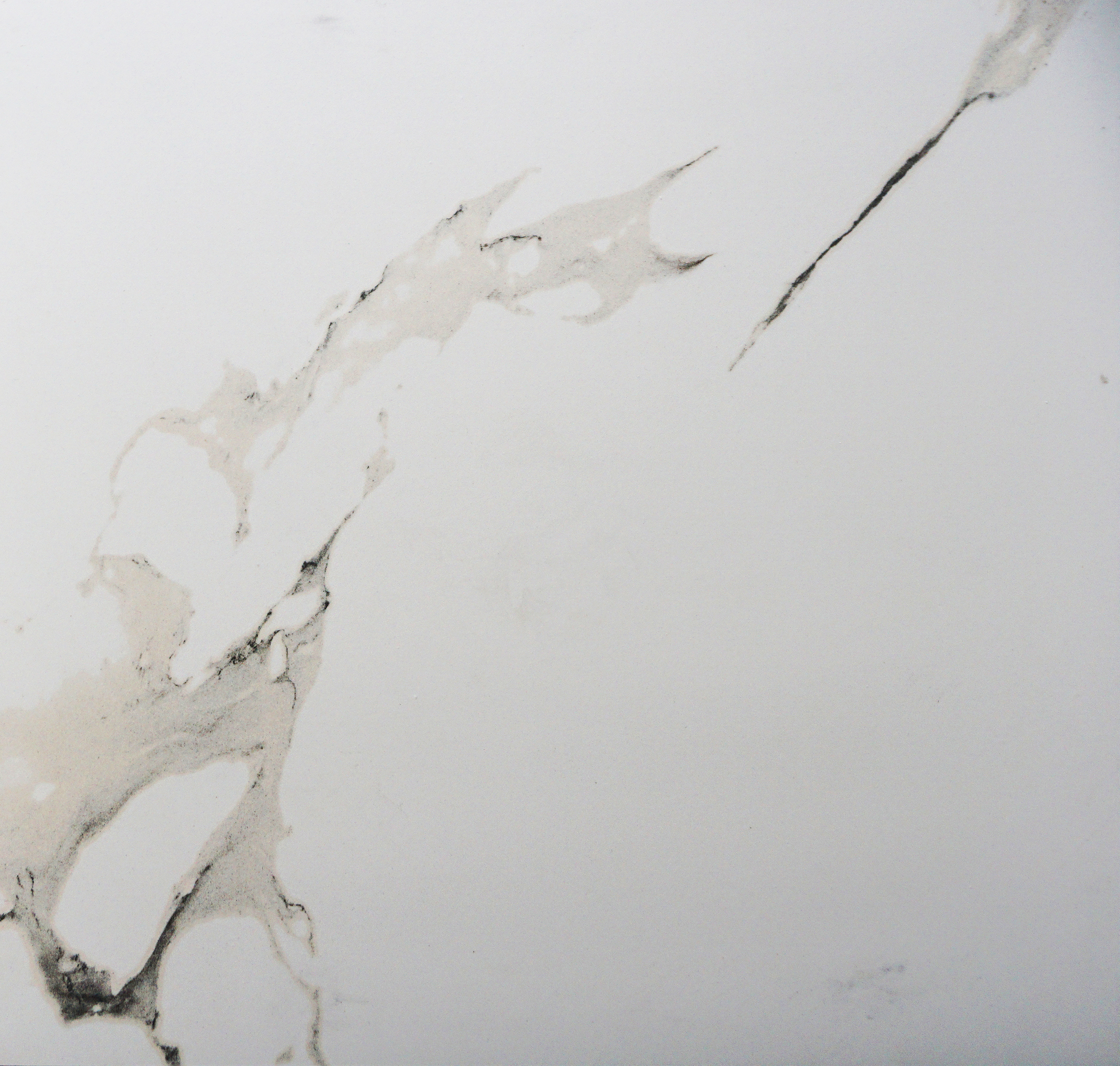 Bodenfliese Feinsteinzeug Lumitec Carrara 60 x 60 cm weiß Bodenfliese Feinsteinzeug Lumitec Carrara 60 x 60 cm weiß
