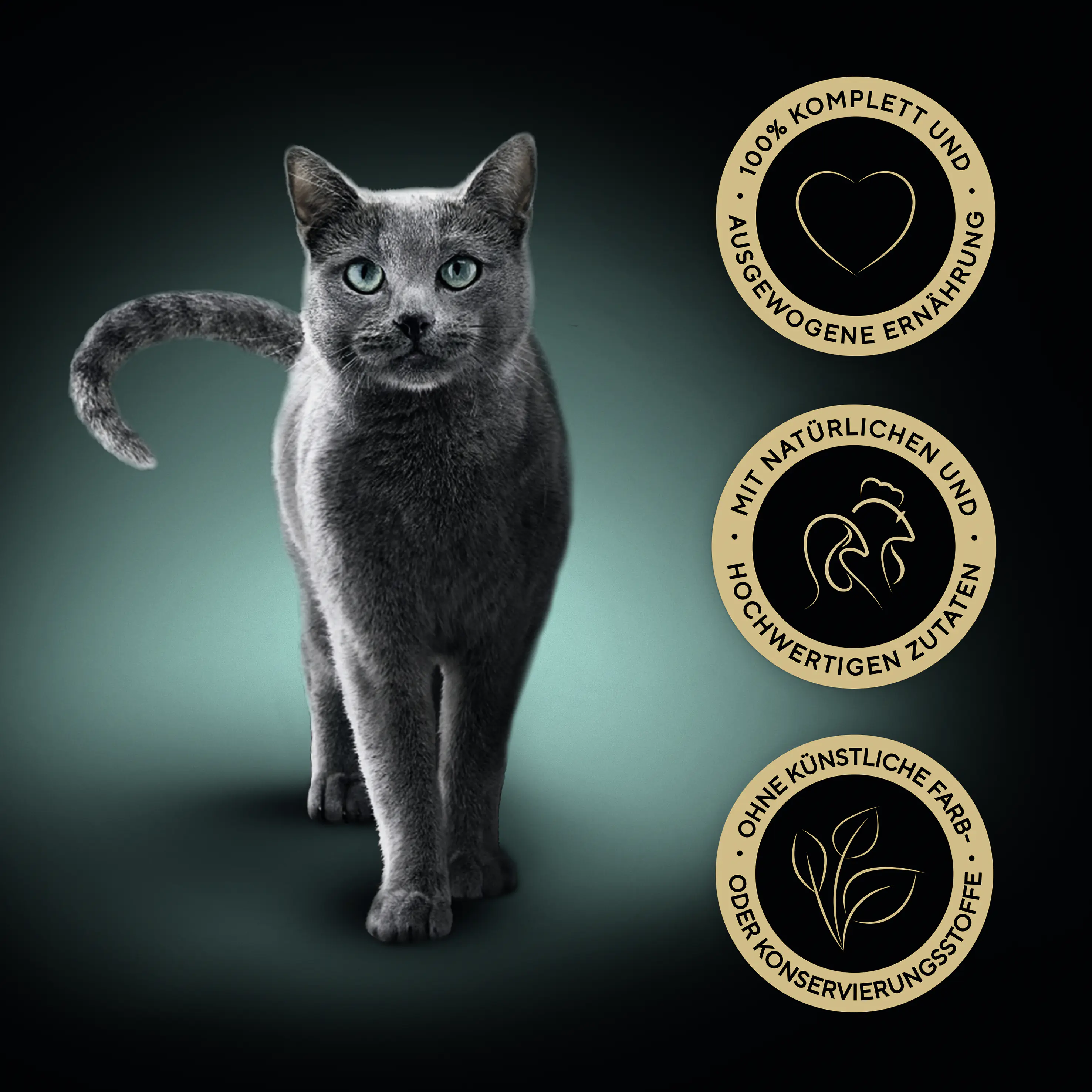 Sheba Classics in Pastete Katzennassfutter Adult 85 g Geflügel Cocktail