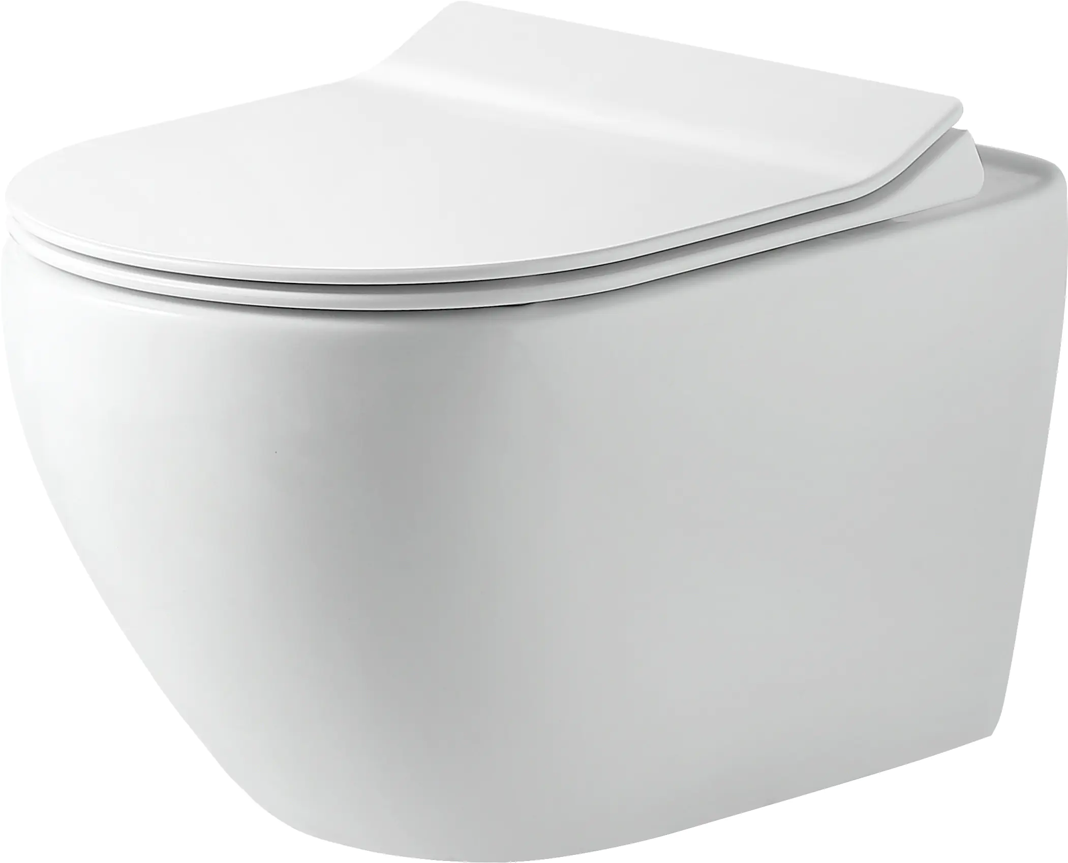 Primaster Wand WC spülrandlos Salvando Tiefspüler weiß inkl. WC Sitz 