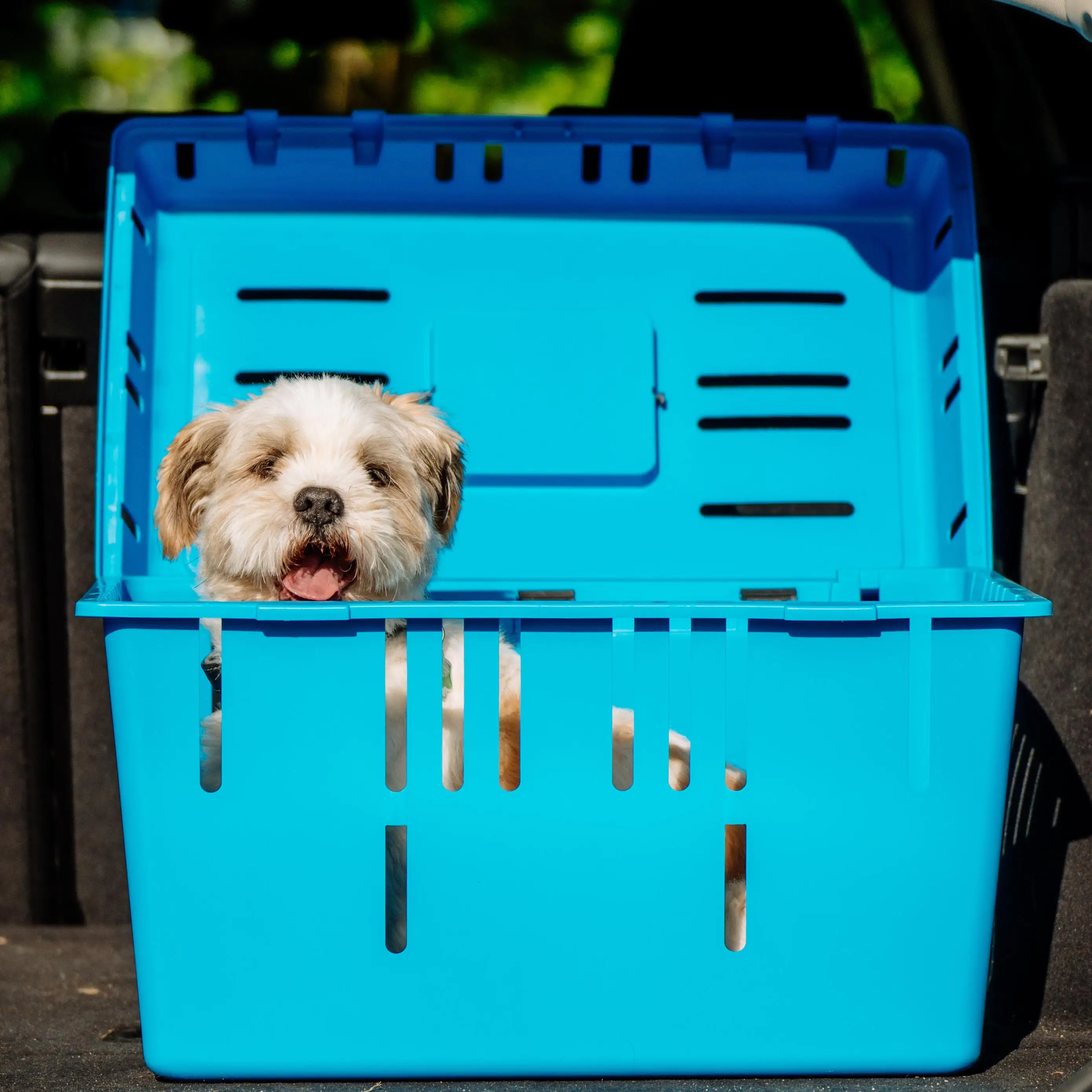 Nobby Transportbox Pet Caddy II