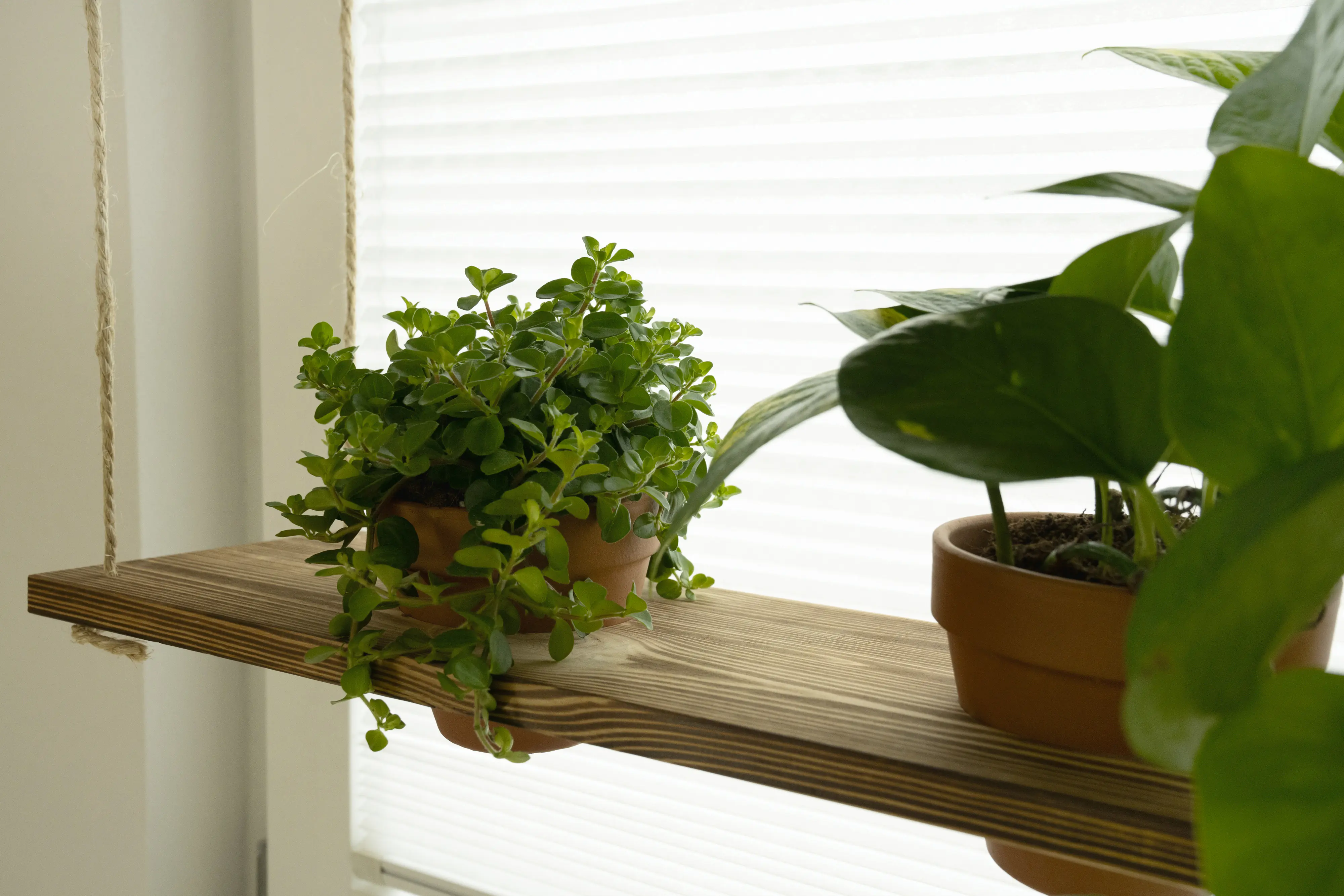 Rettenmeier Leimholzplatte Kiefer geflammt 120 x 30 x 1,8 cm