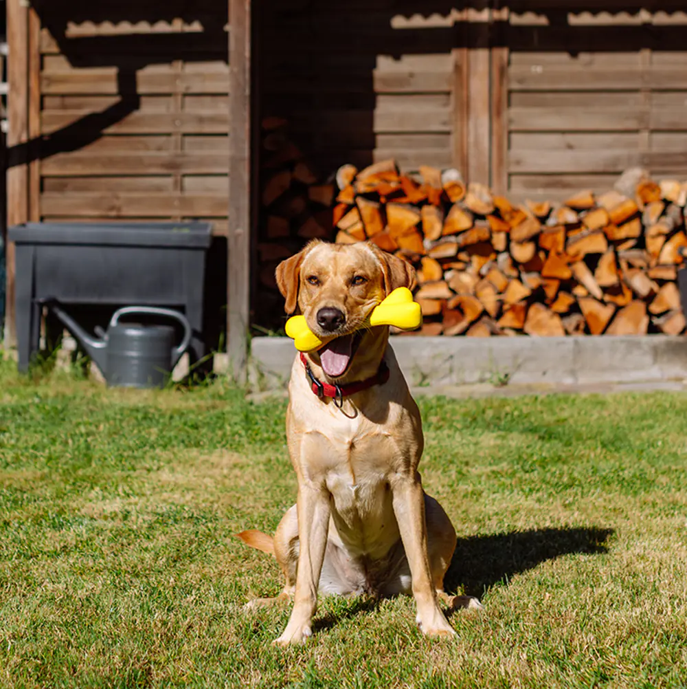 Nobby Hundespielzeug Vollgummi Knochen 23 cm