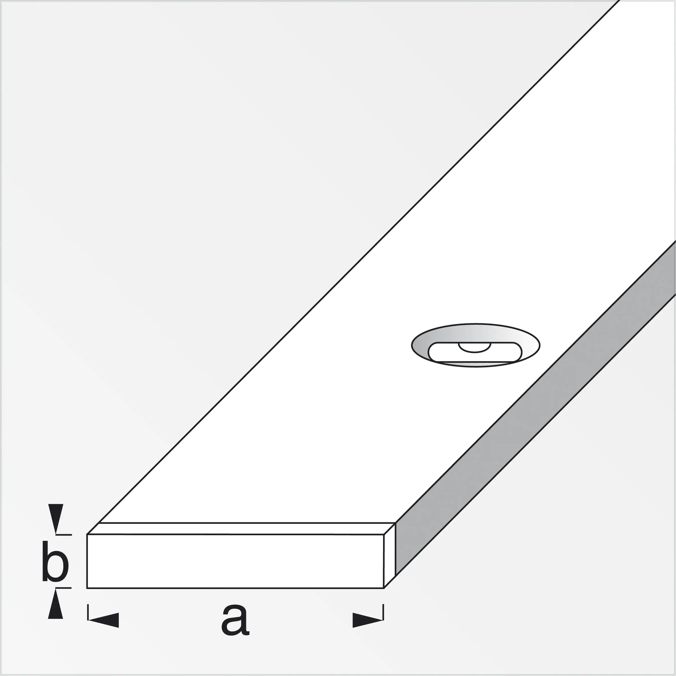 alfer Combitech Richtlatte mit Libelle 180 cm