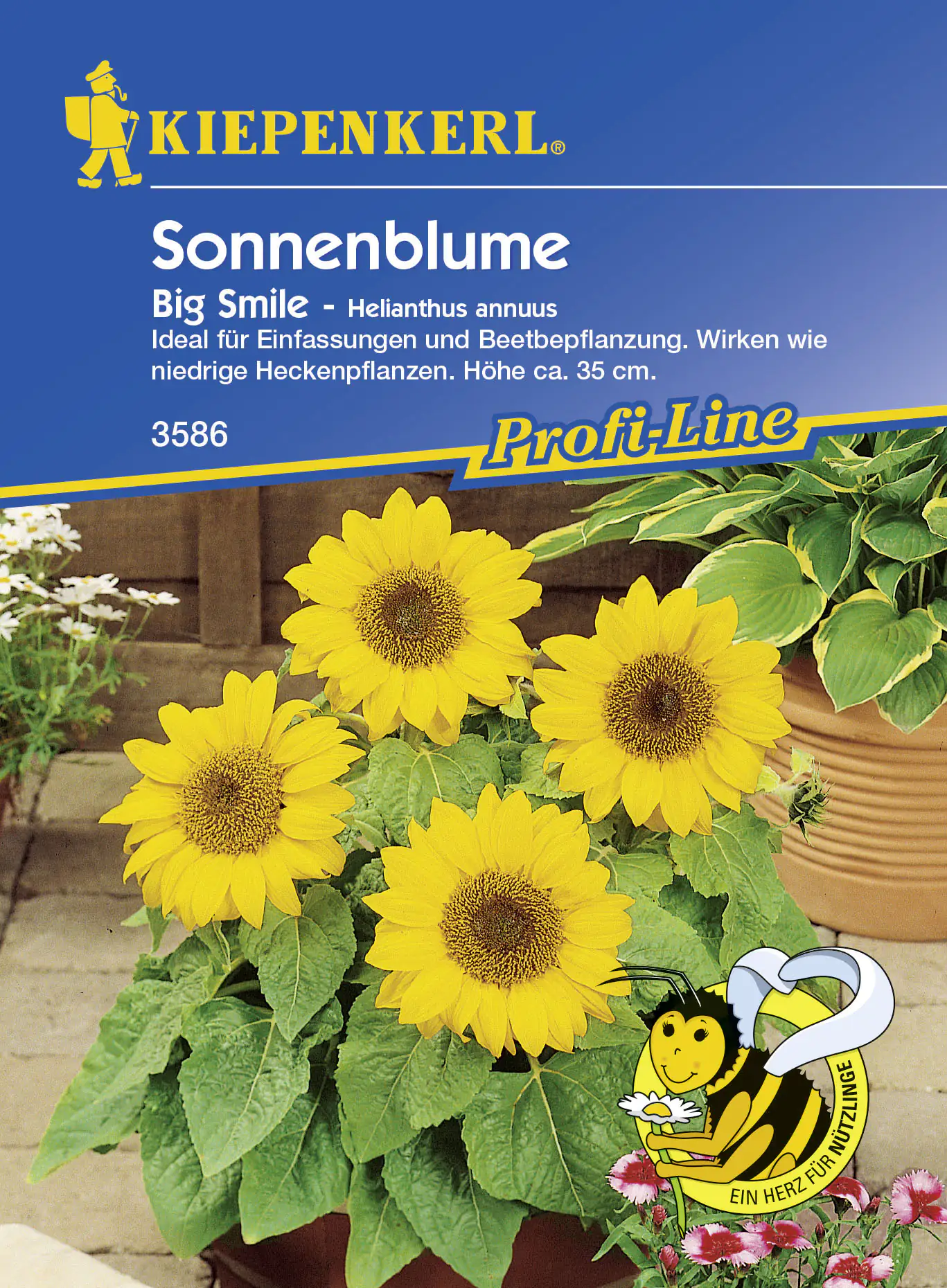 Kiepenkerl Sonnenblume Big Smile Helianthus annuus, Inhalt: ca. 20 Pflanzen