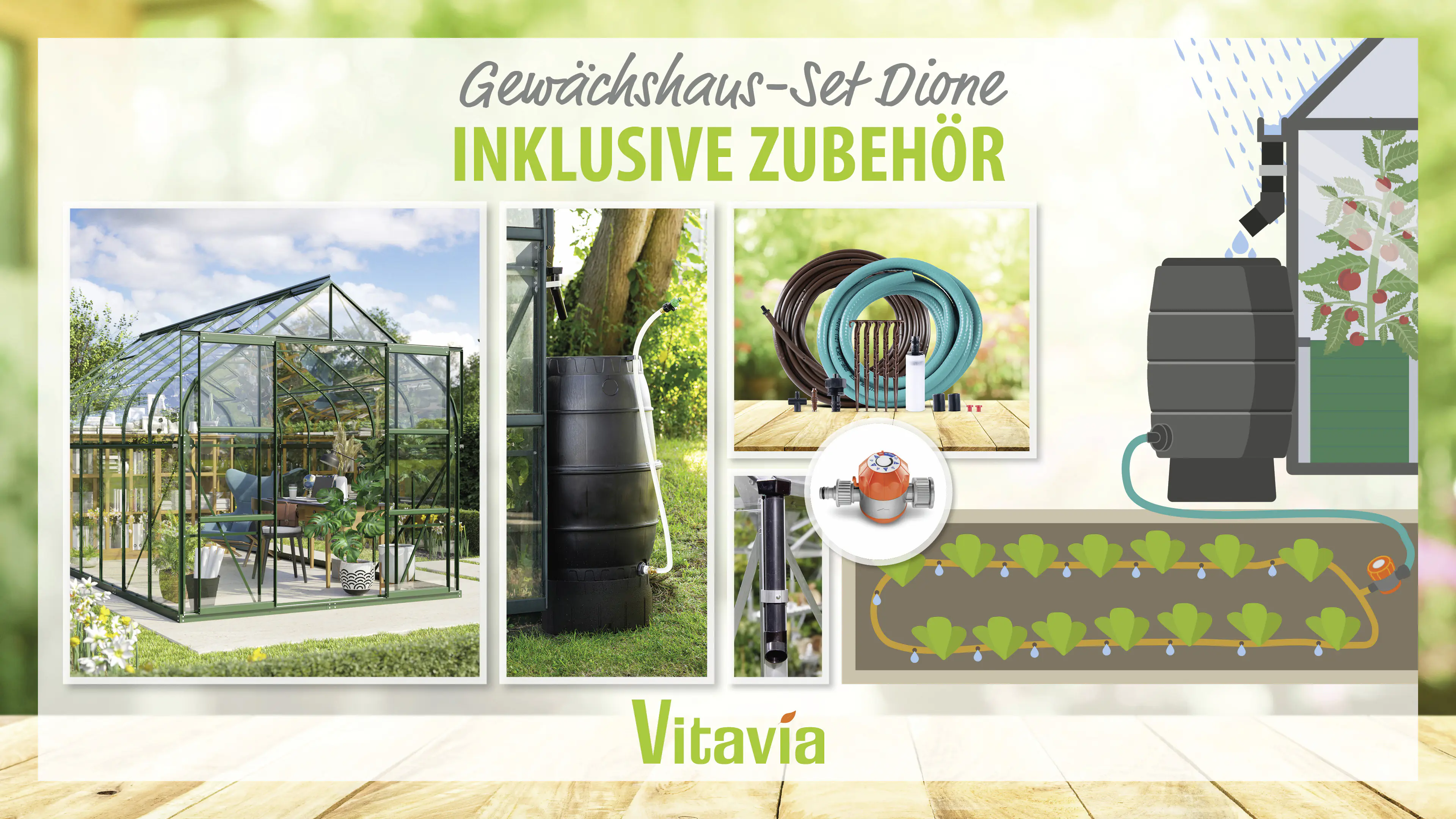 Vitavia Gewächshaus-Set-Set Dione 11500 ESG 3 mm smaragd 254 x 441 cm