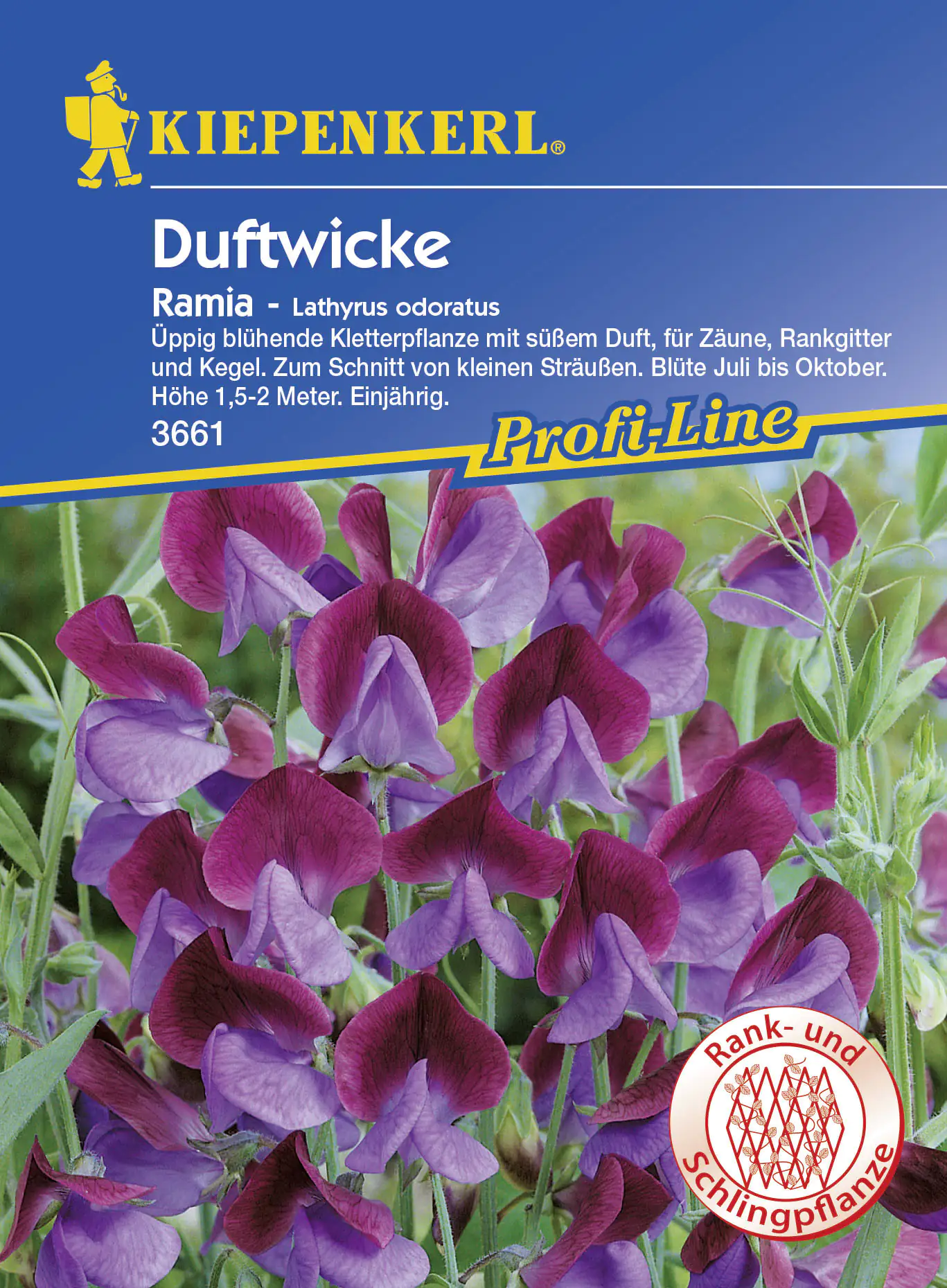 Kiepenkerl Edelwicken Ramia Lathyrus odoratus, Inhalt: ca. 25 Pflanzen