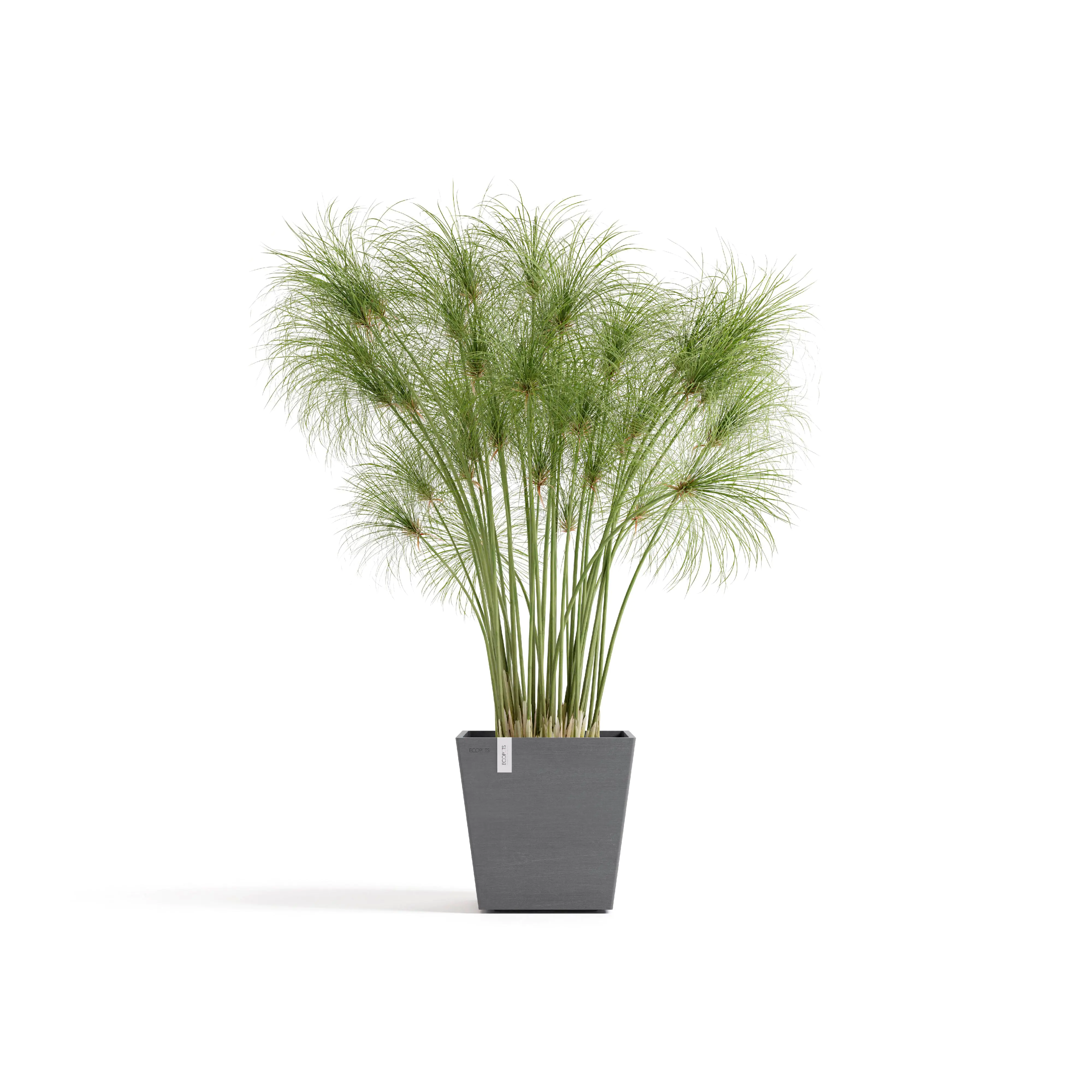 Ecopots Pflanztopf Rotterdam 25 x 25 x 24,5 cm grau Ecopots Pflanztopf Rotterdam 25 x 25 x 24,5 cm grau