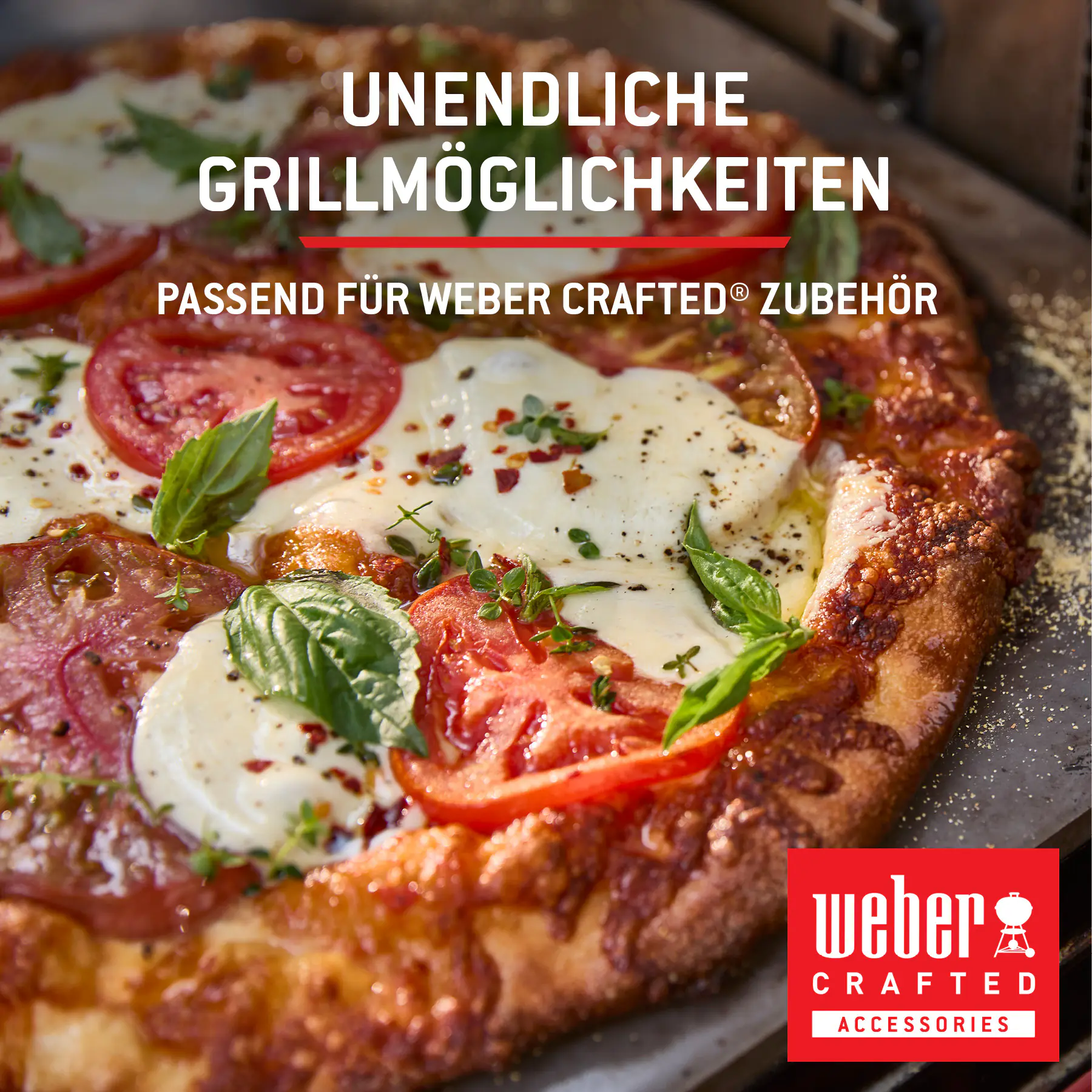 Weber Gasgrill Spirit E210 Grillfläche: 52 x 45 cm 