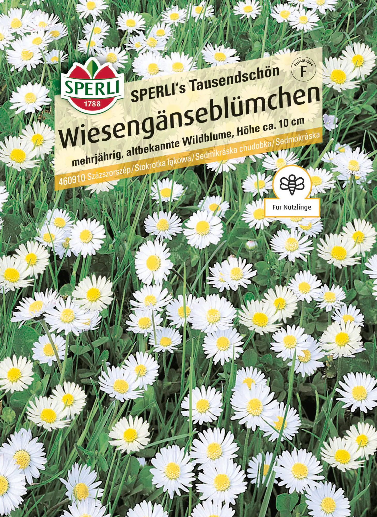 Sperli Saatgut Wiesengänseblümchen Tausendschön für ca. 1-2 m²