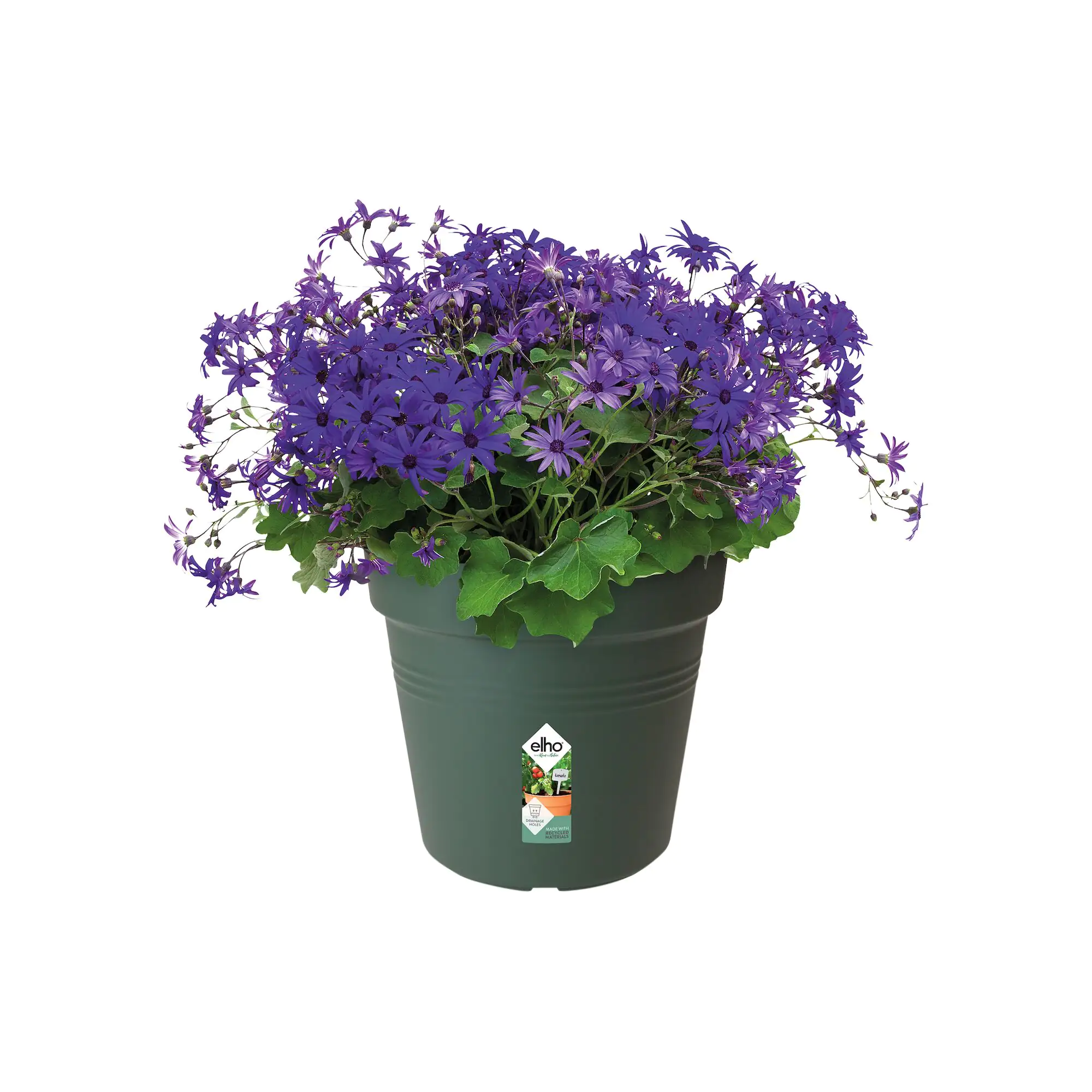 Elho Anzuchtstopf Green Basics Ø 30 cm grün