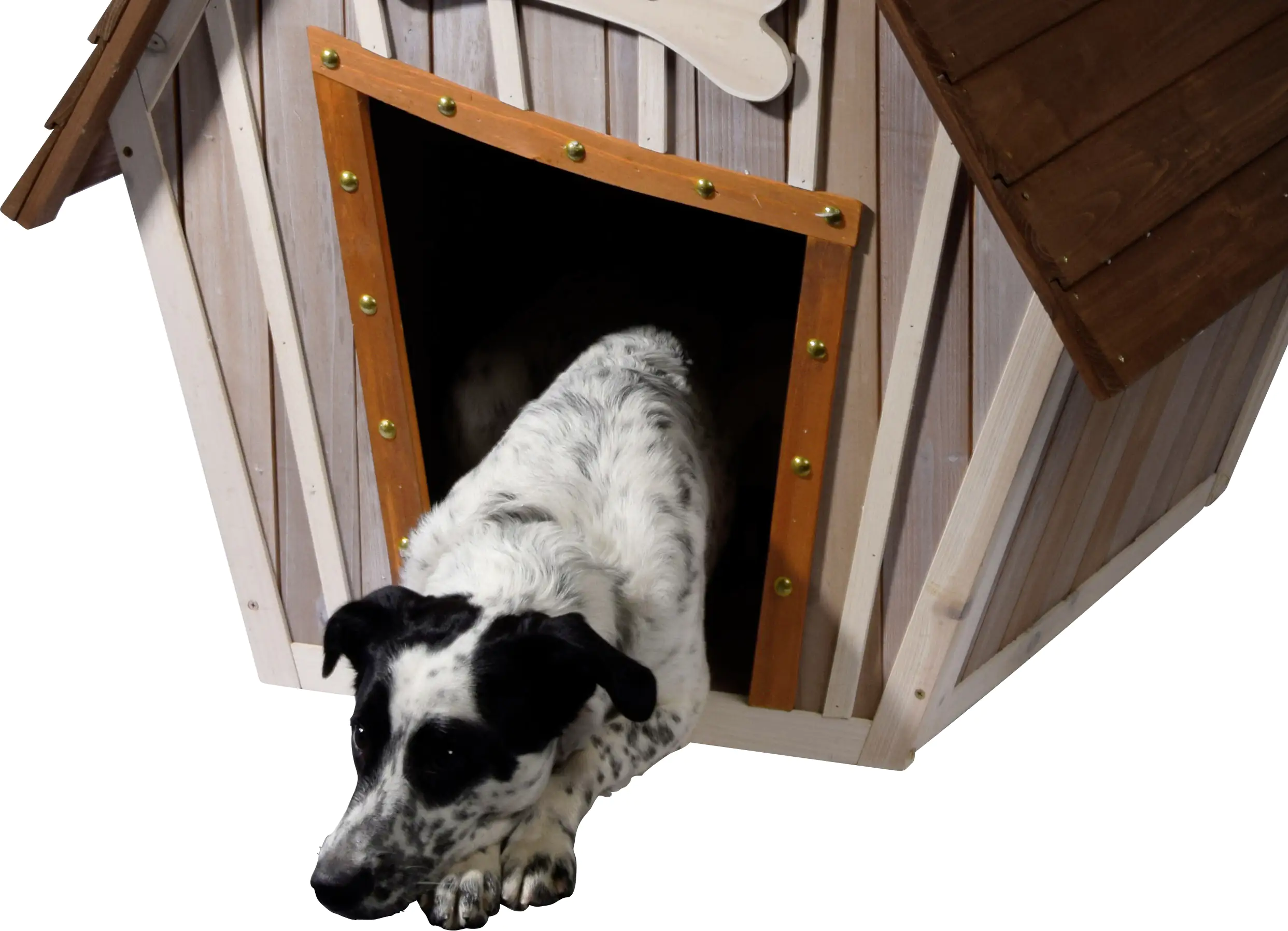 Dobar Design-Hundehütte Hubi