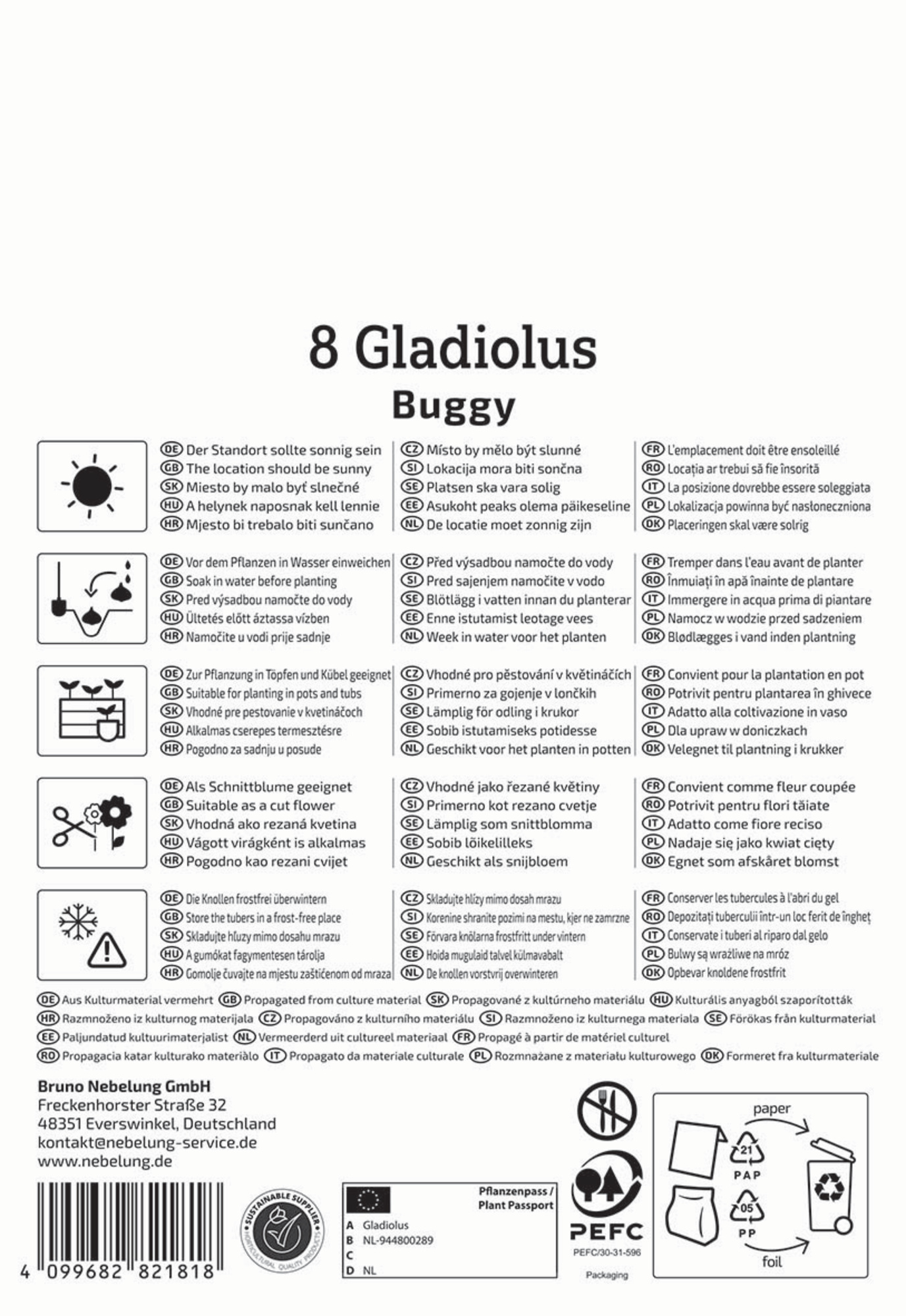 Kiepenkerl Frühjahrsblumenzwiebel Kleinblumige Gladiole Buggy 8 Stück