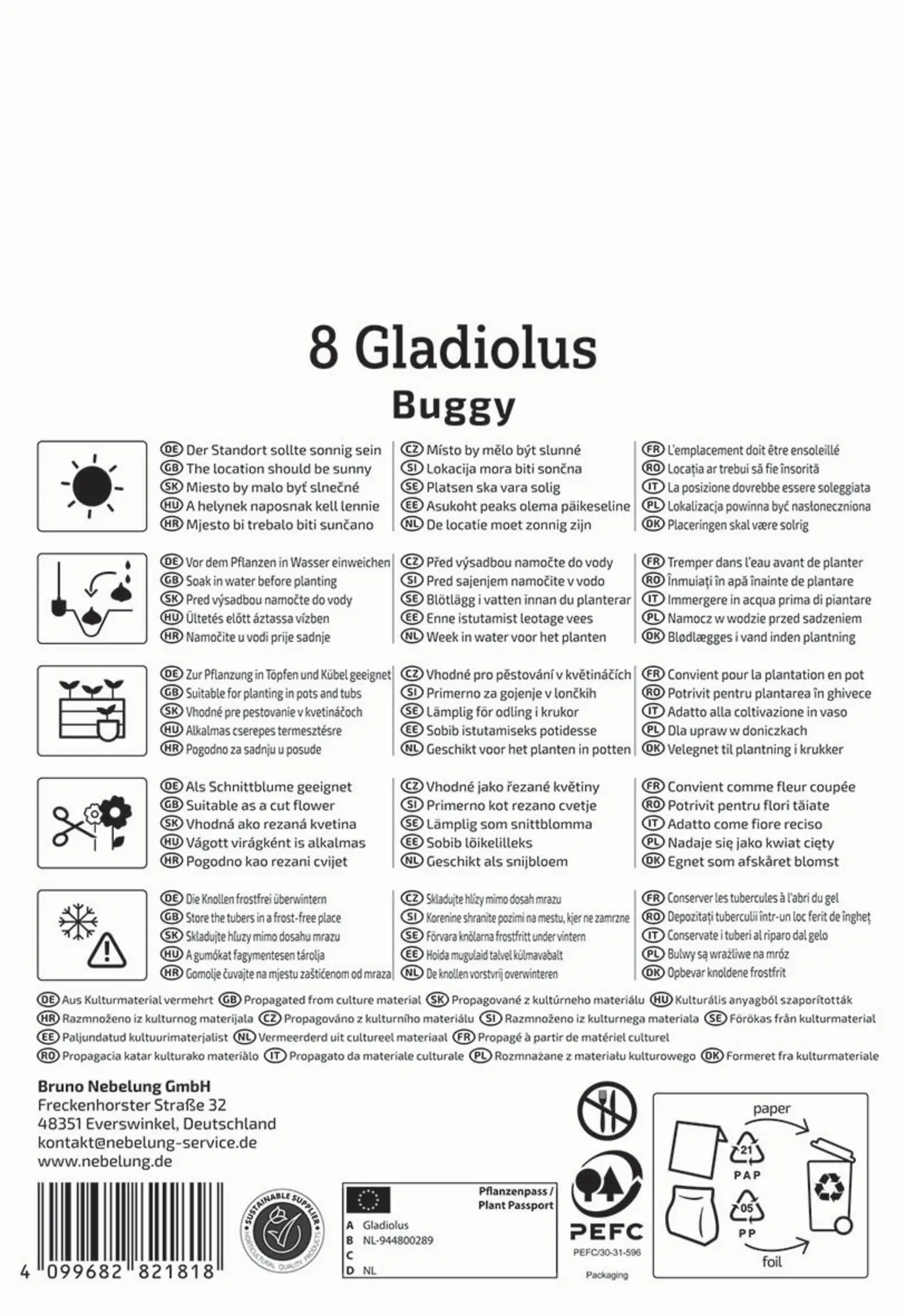 Kiepenkerl Frühjahrsblumenzwiebel Kleinblumige Gladiole Buggy 8 Stück