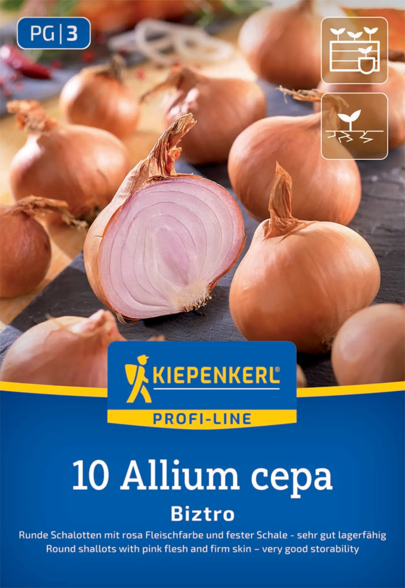 Kiepenkerl Steckzwiebel Schalotte Biztro Gr. 7/15, 10 Stück