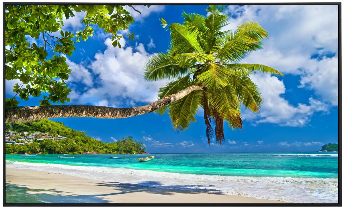 papermoon Infrarotheizkörper EcoHeat 60x120 cm 1000 Watt, Palmen Strand