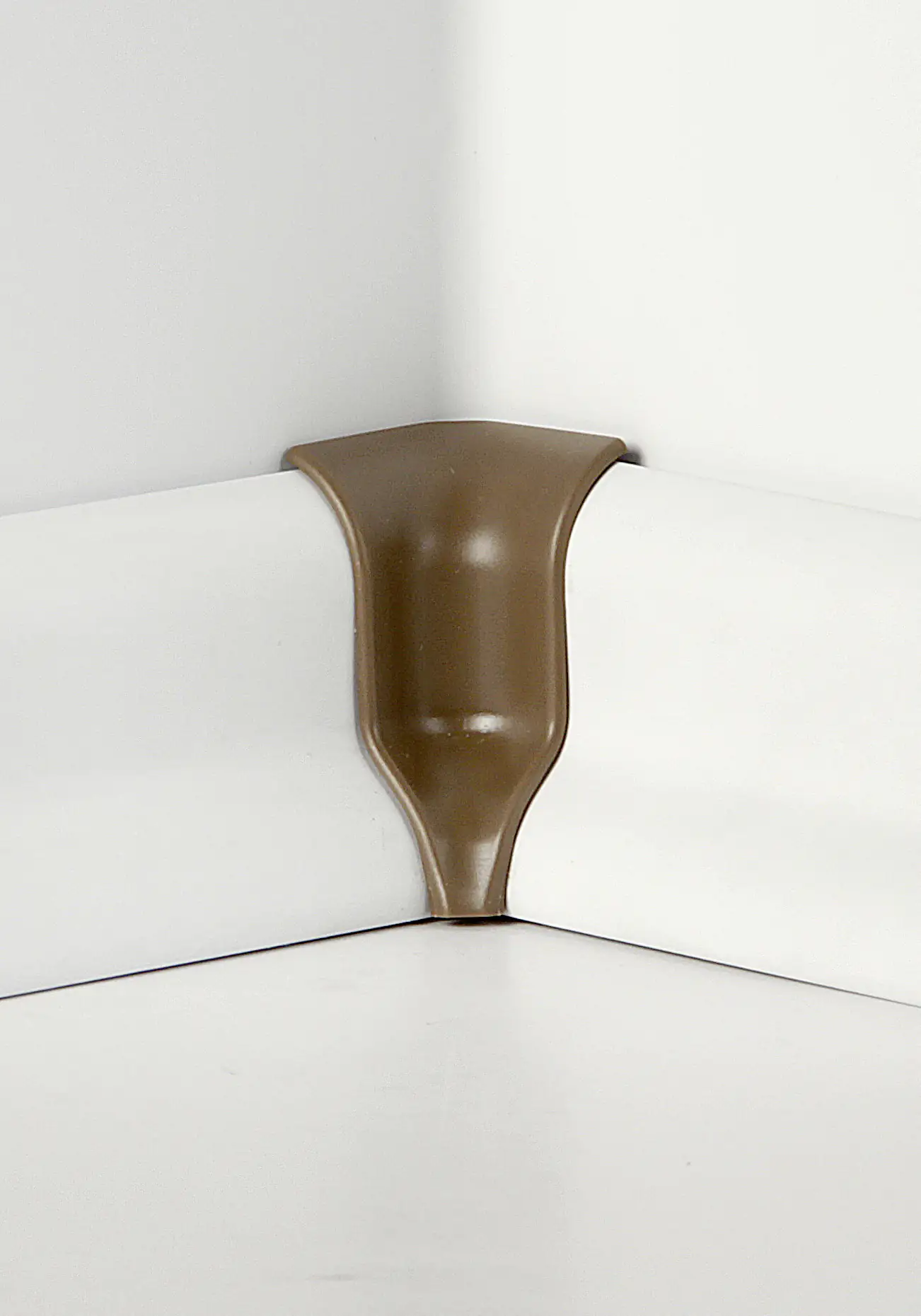 Classen Innenecke Felseneiche Uni