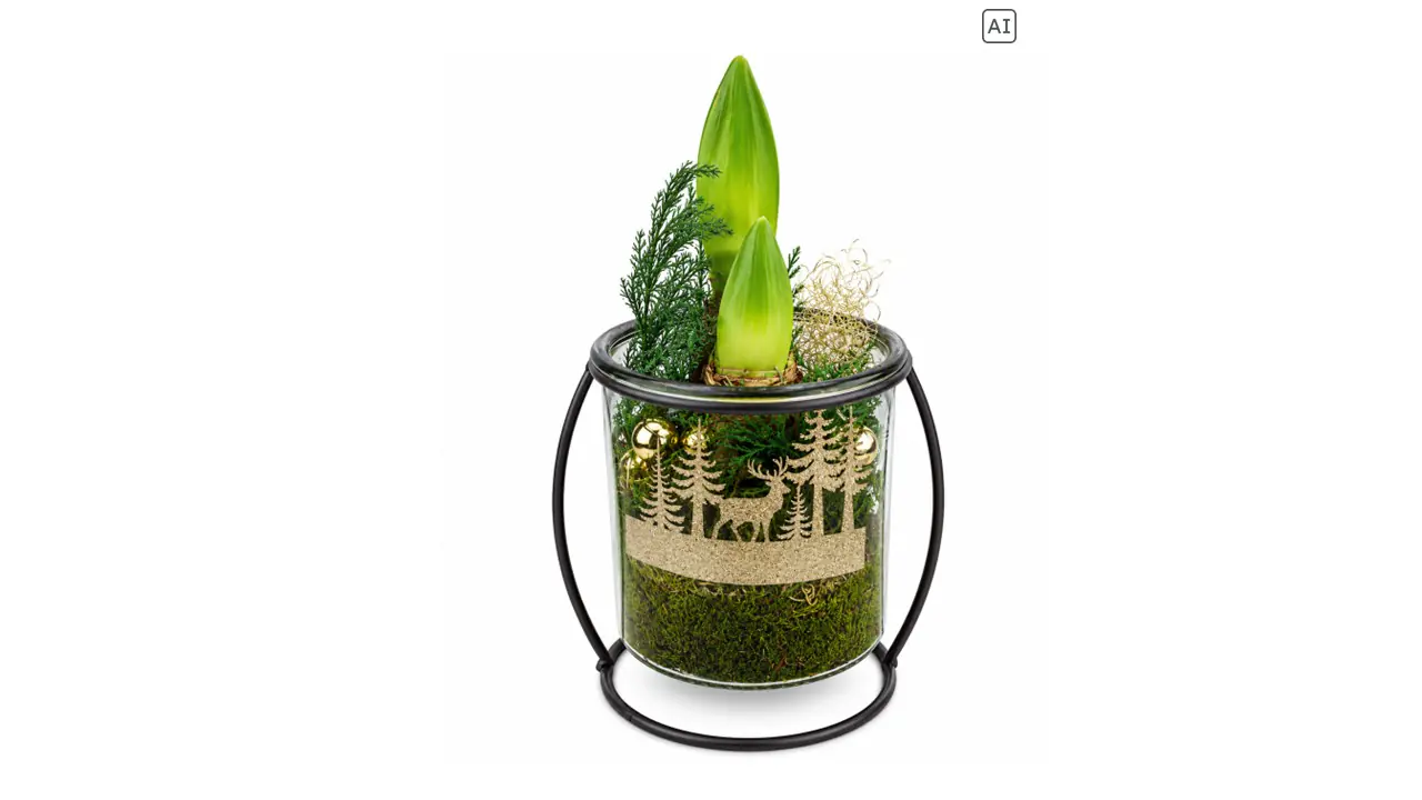 Weihnachtliches Arrangement Rillenglas bepflanzt