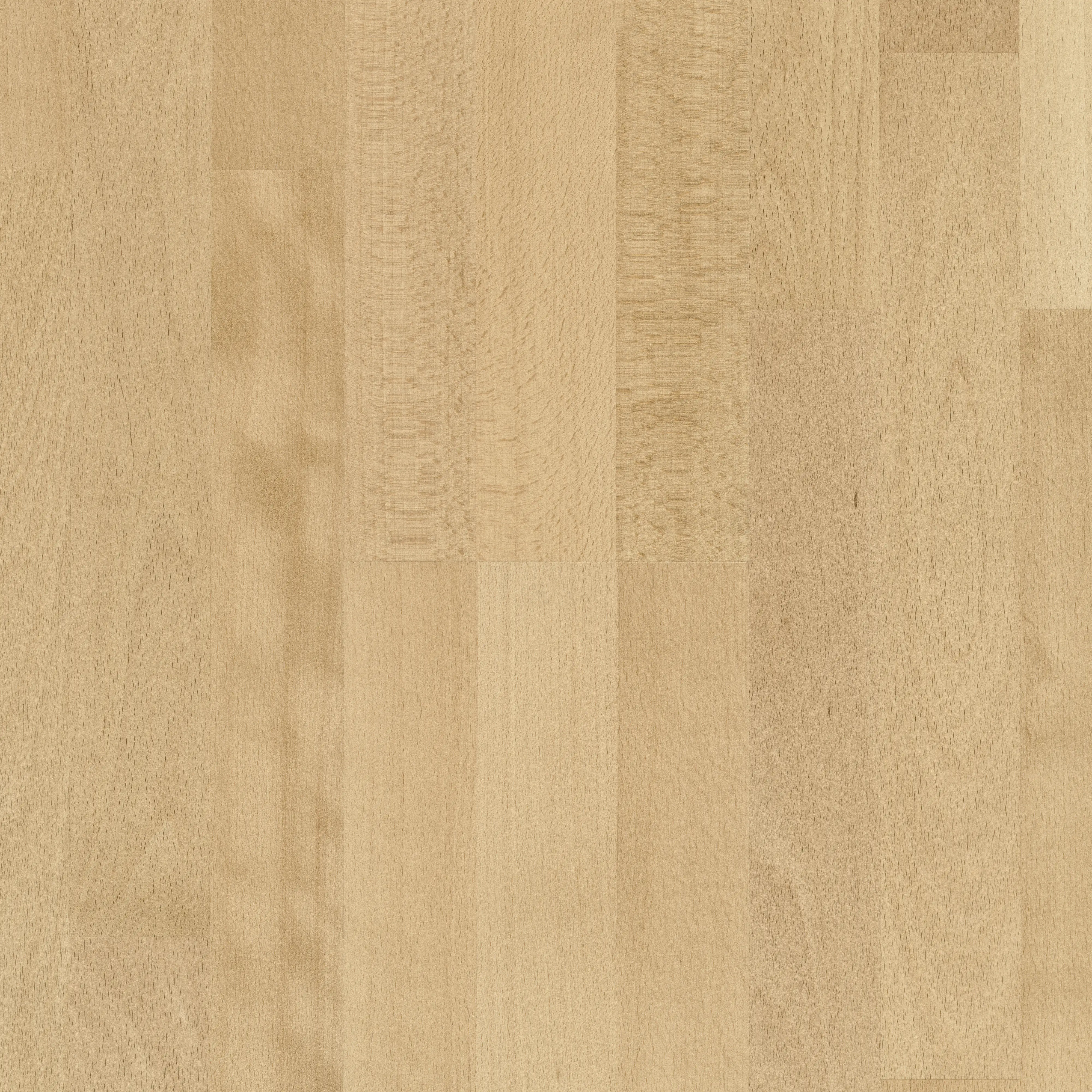 Parador Parkett Basic 11-5 Natur Buche lackversiegelt matt