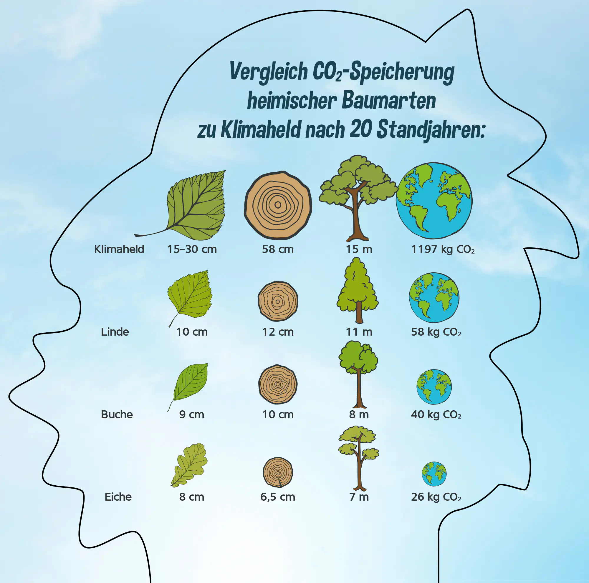 CO2 Klimaheld Blauglockenbaum 21 cm Topf