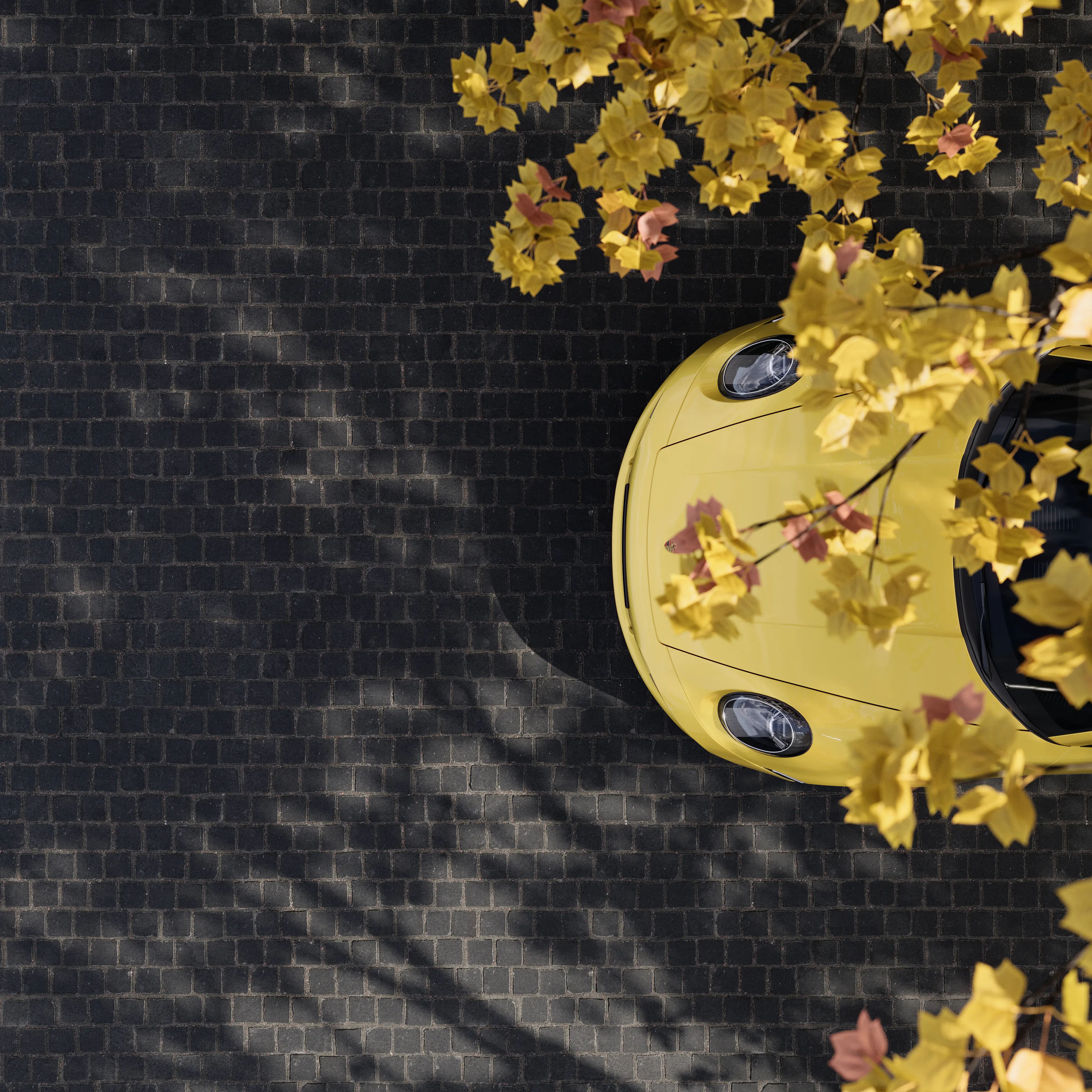 Pflasterstein Basalt 9 x 9 x 9 cm schwarz Pflasterstein Basalt 9 x 9 x 9 cm schwarz