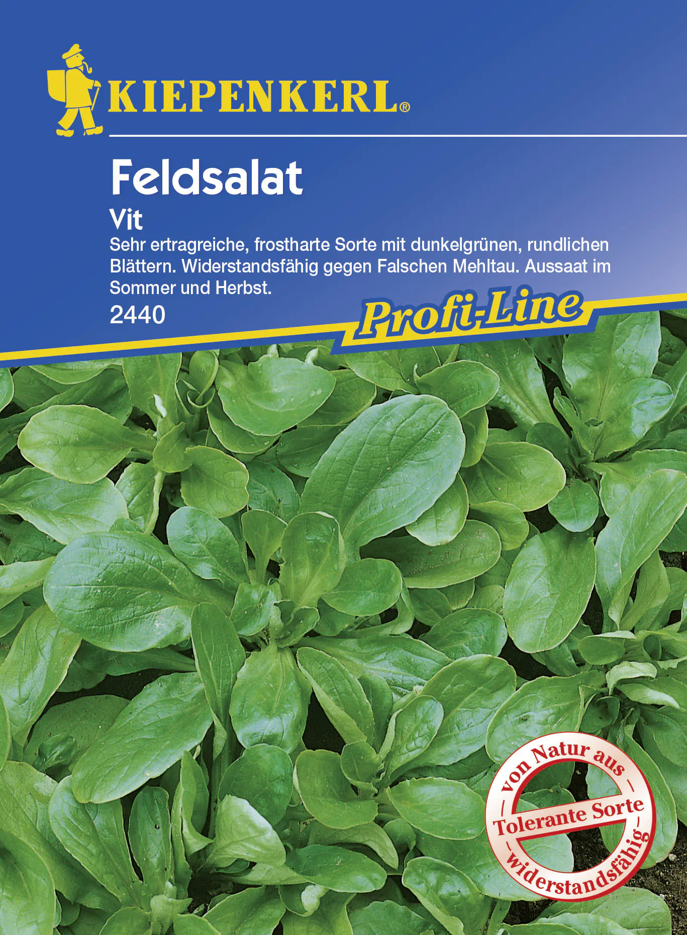 Kiepenkerl Feldsalat Vit Valerianella locusta, Inhalt: ca. 5 lfd. Meter