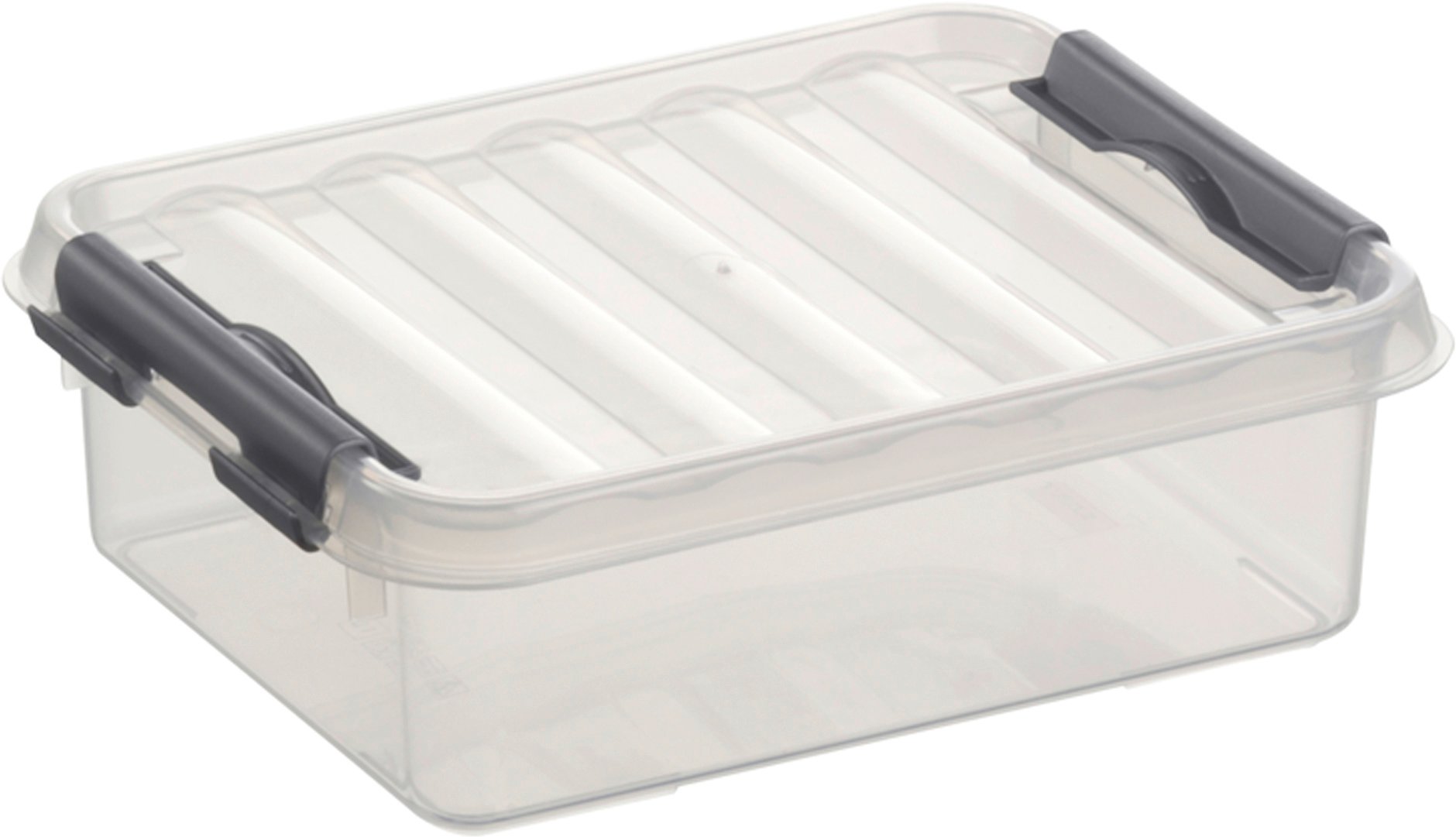 Sunware Aufbewahrungsbox 1L transparent 20 x 15 x 6 cm