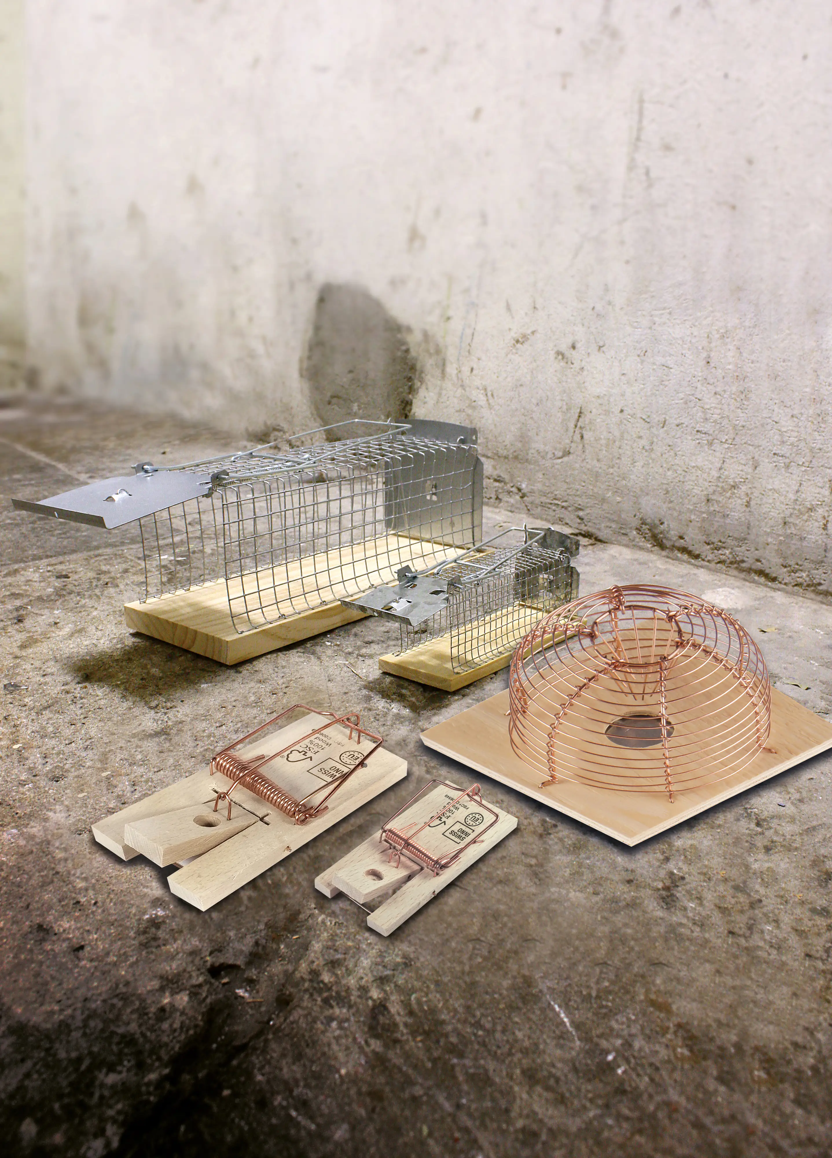 Swissinno Holz-Lebendfalle für Mäuse