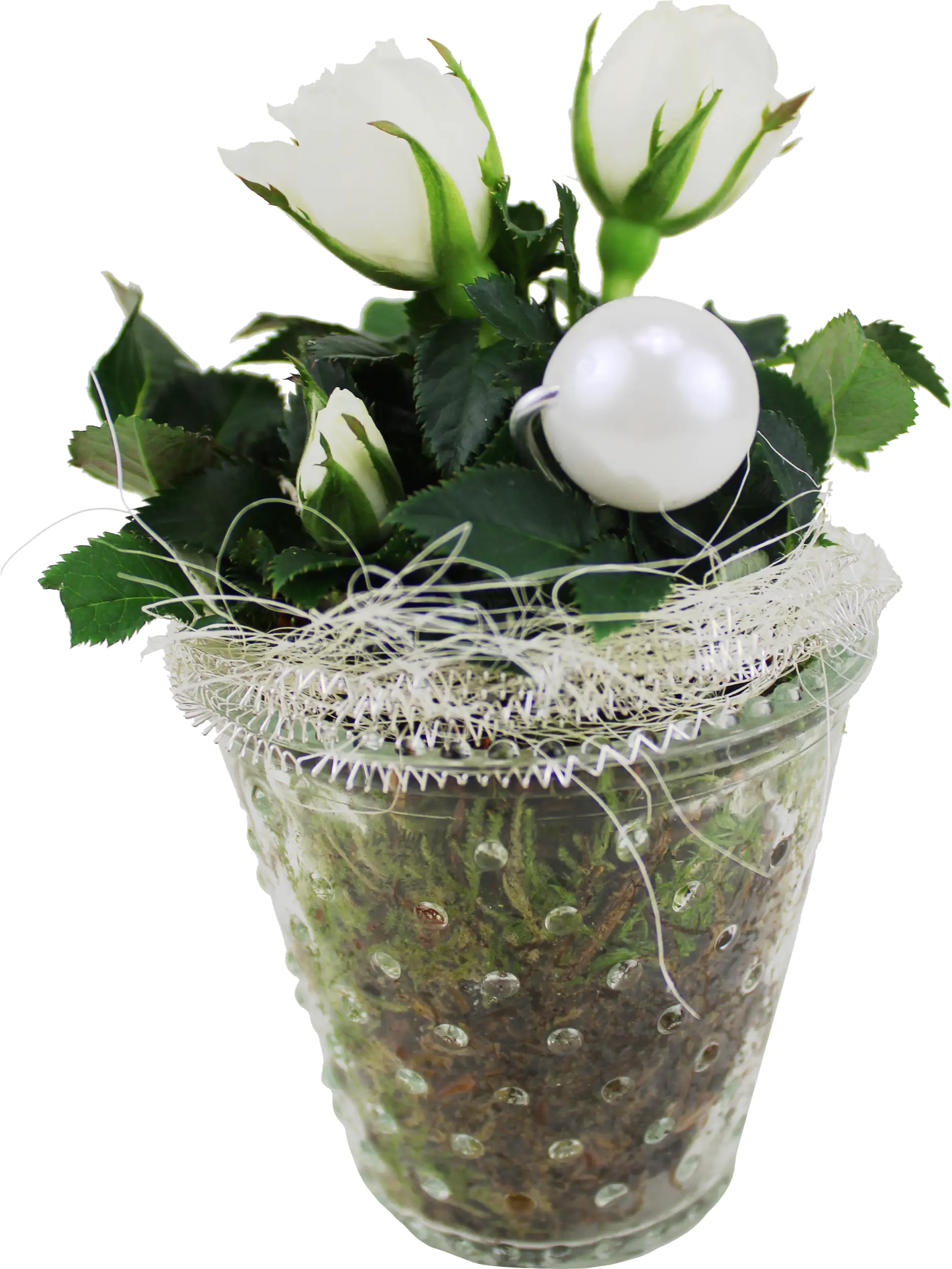 Arrangement für Innen Mini Mix im 7 cm Glastopf 