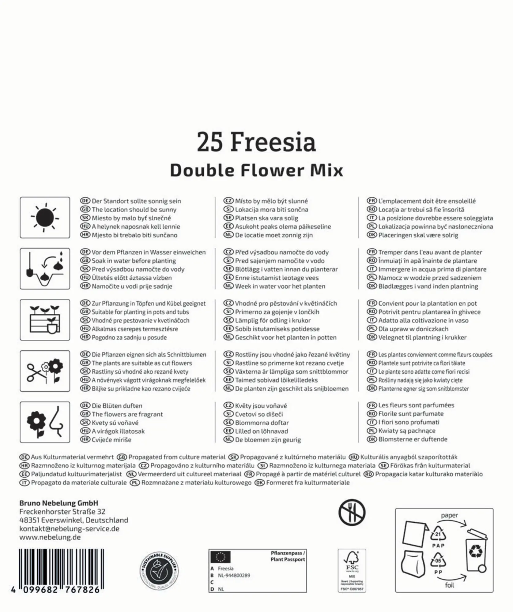 Kiepenkerl Mega-Pack Frühjahrsblumenzwiebel Freesien Mischung gefüllte Blüten 25 Stück