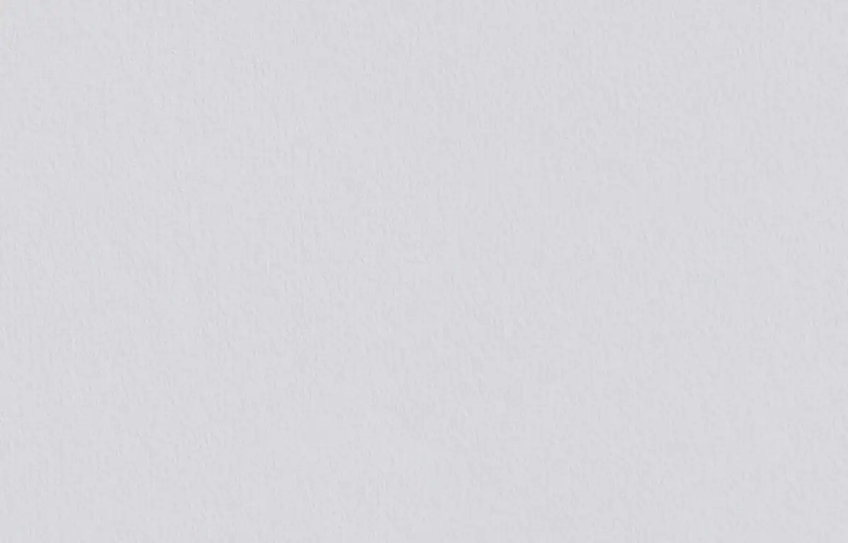 Erfurt Variovlies Brilliant weiß 0,75 x 20 m