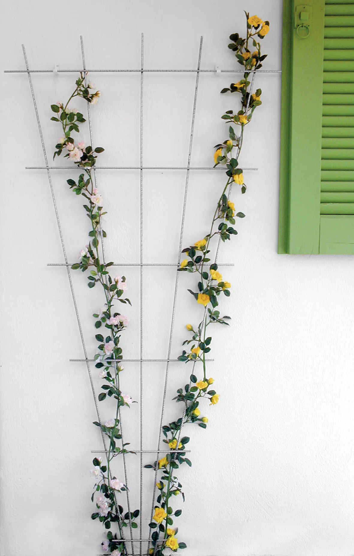 Bellissa Rosenspalier Fächer zink-rip 150 cm hoch