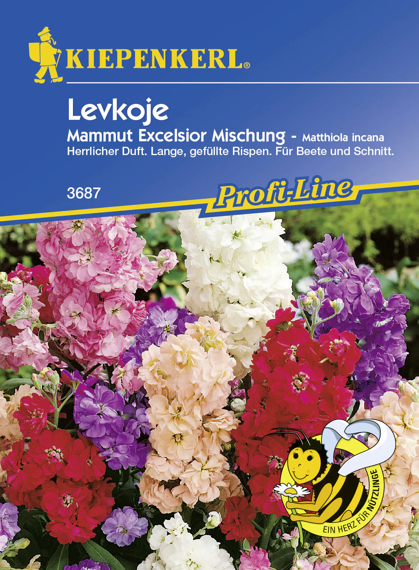 Kiepenkerl Levkoje Mammut Excelsior ca. 50 Pflanzen