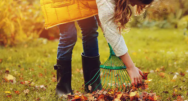 Gartenarbeit im Herbst